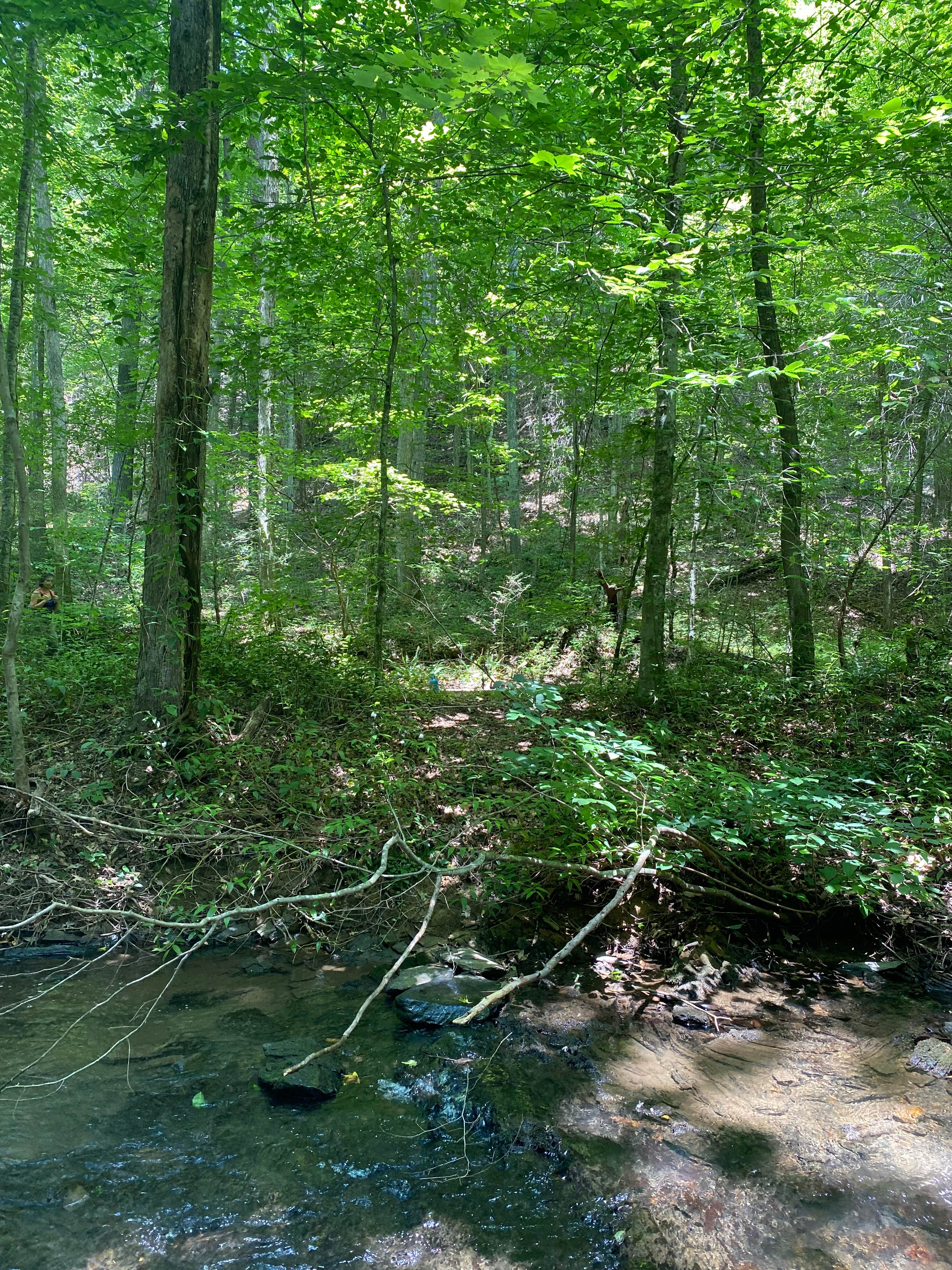 Camper-submitted photo at Goforth Creek Campground E near Farner, TN