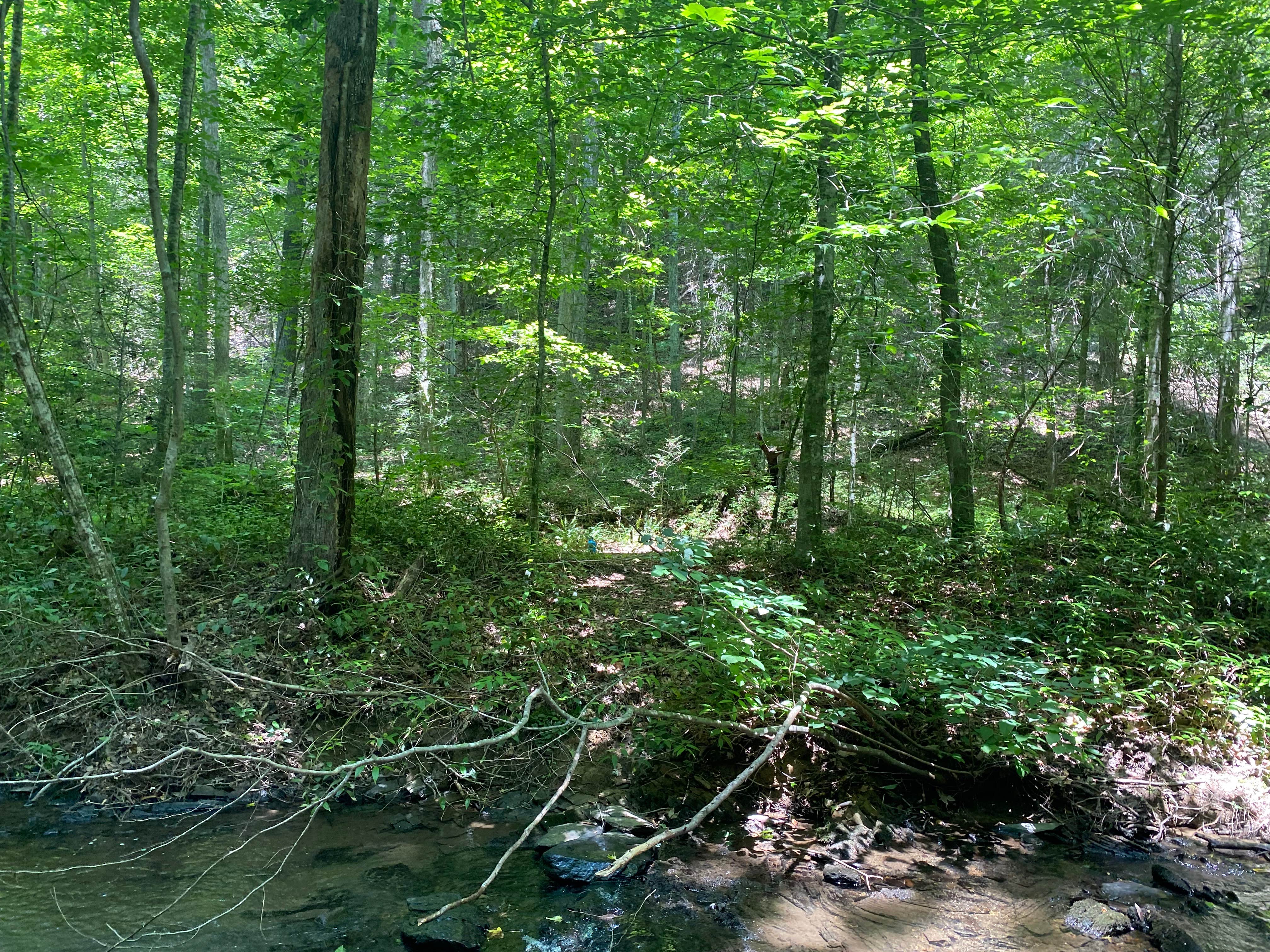 Camper-submitted photo at Goforth Creek Campground E near Farner, TN