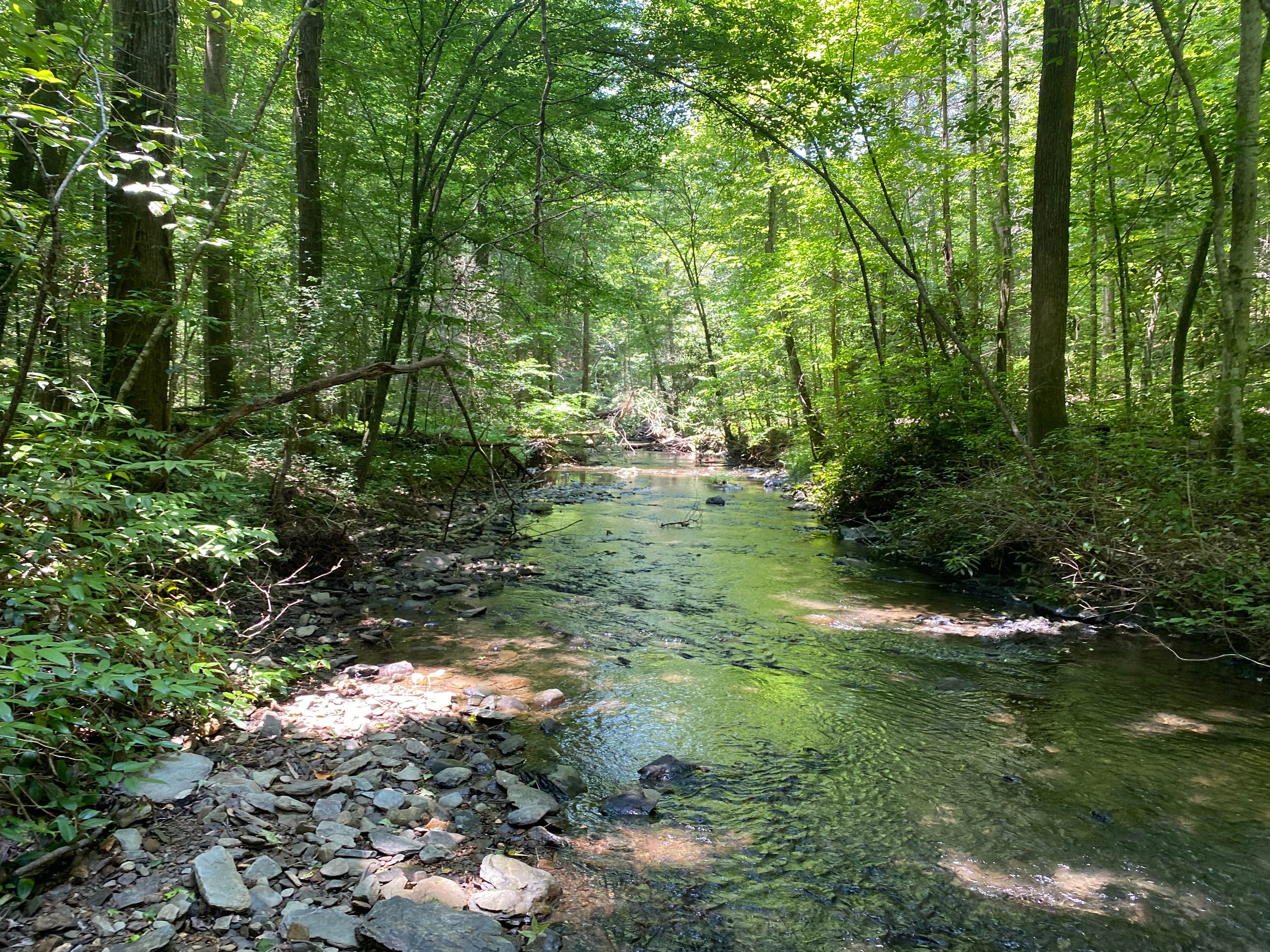 Camper-submitted photo at Goforth Creek Campground E near Farner, TN