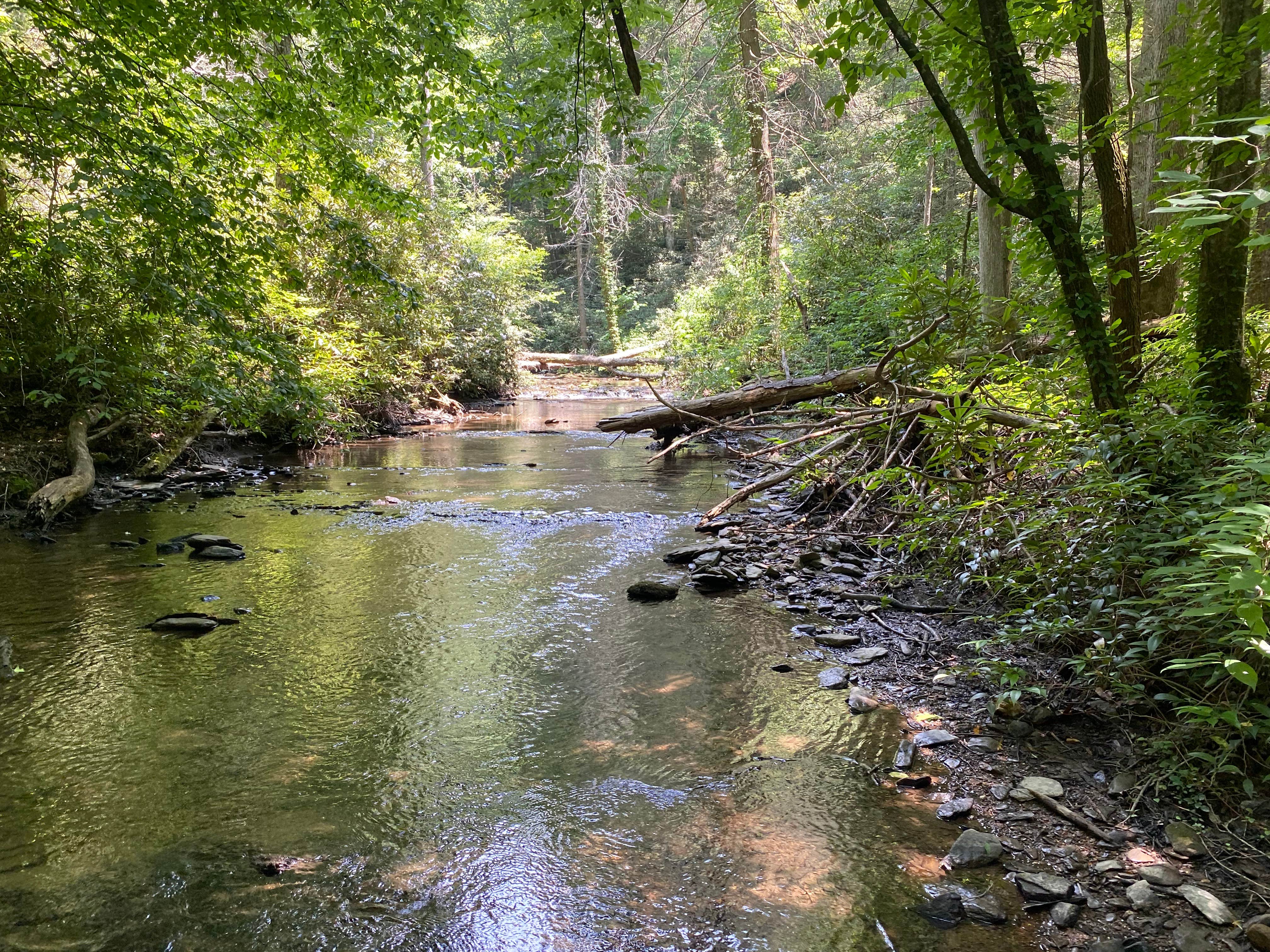 Camper-submitted photo at Goforth Creek Campground E near Farner, TN