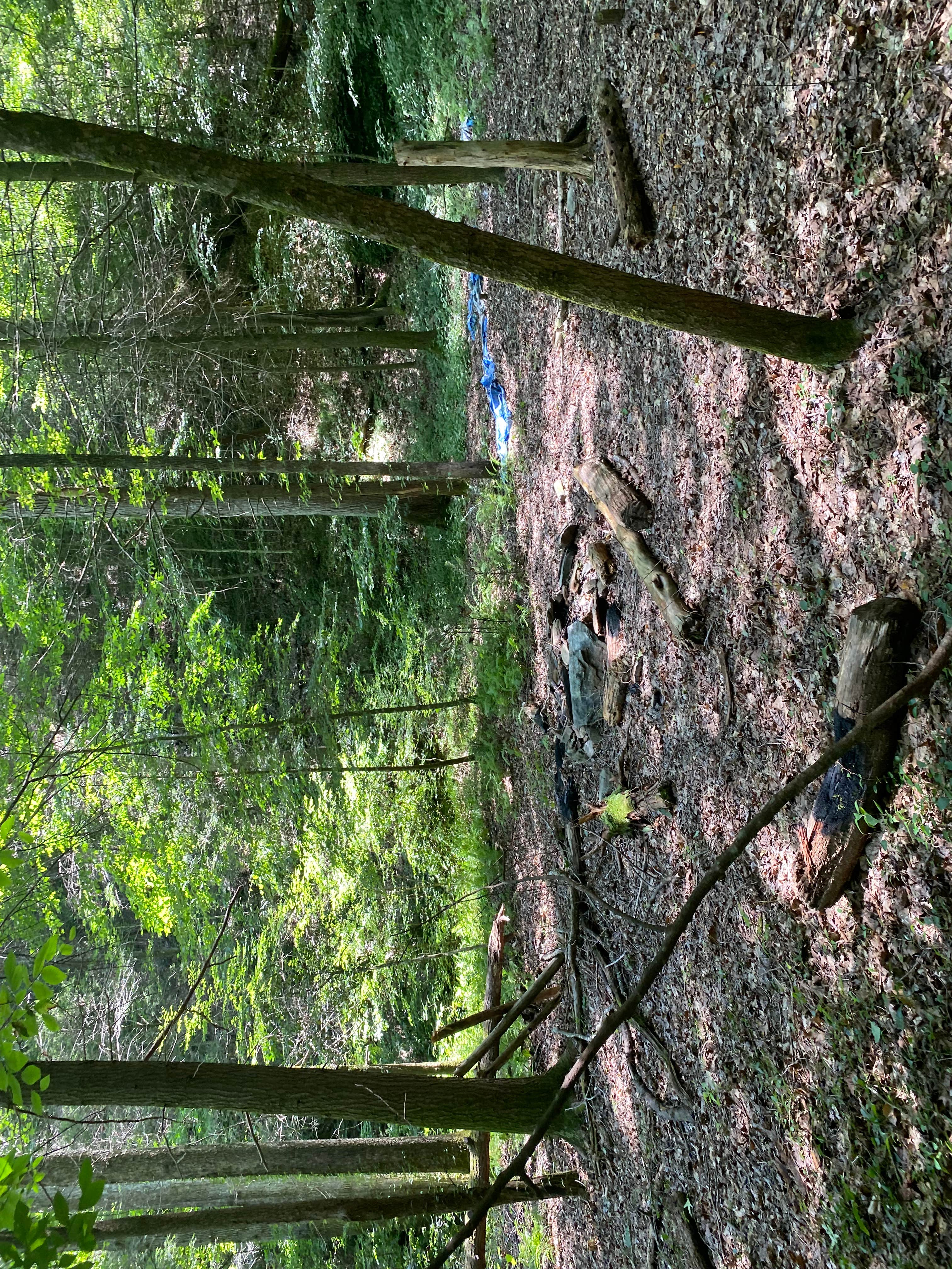 Camper-submitted photo at Goforth Creek Campground E near Farner, TN