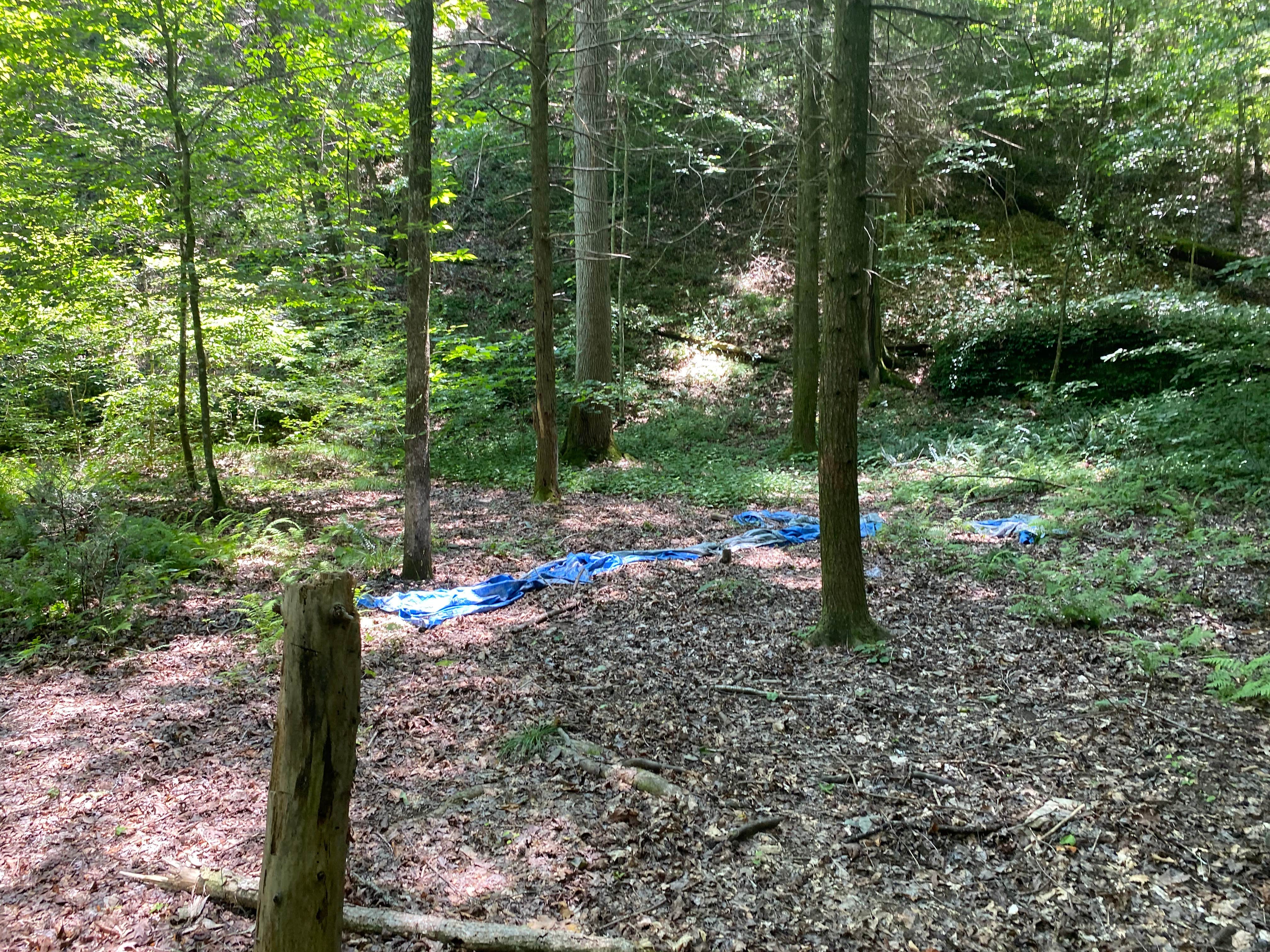 Camping near Goforth Creek Campground F: Goforth Creek Campground E, Reliance, Tennessee