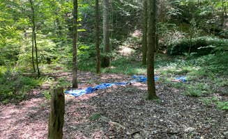 Asher K.'s photo at Goforth Creek Campground E near Turtletown, TN