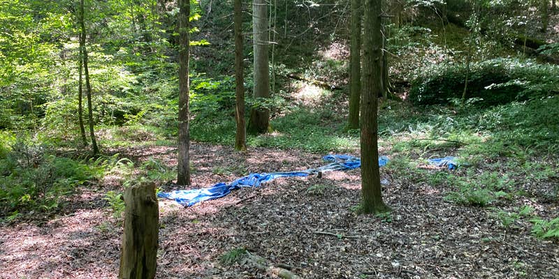 Camper submitted image from Goforth Creek Campground E