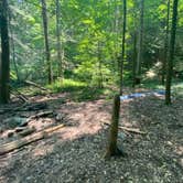 Review photo of Goforth Creek Campground E by Asher K., September 30, 2022