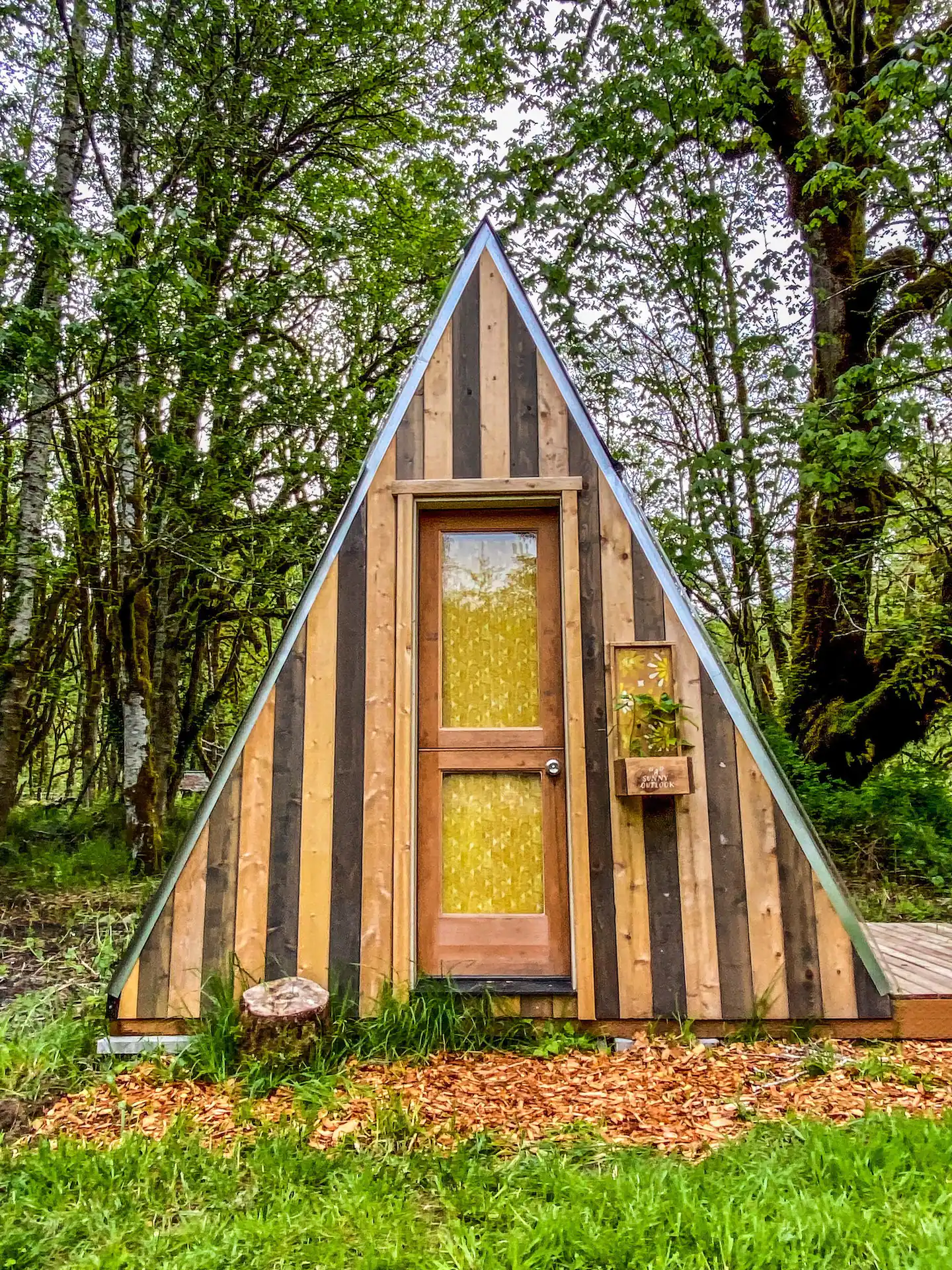 Camper-submitted photo at My Tiny Creekside Retreat near Cathlamet, WA