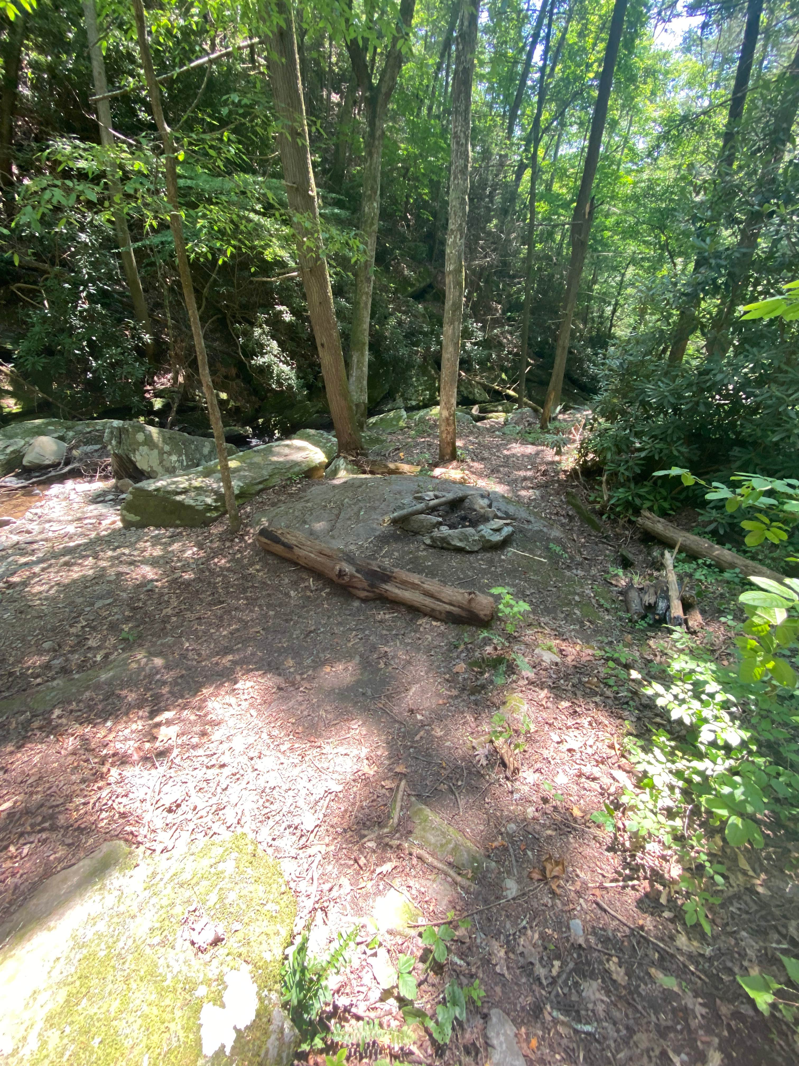 Camper-submitted photo at Goforth Creek Campground F near Reliance, TN