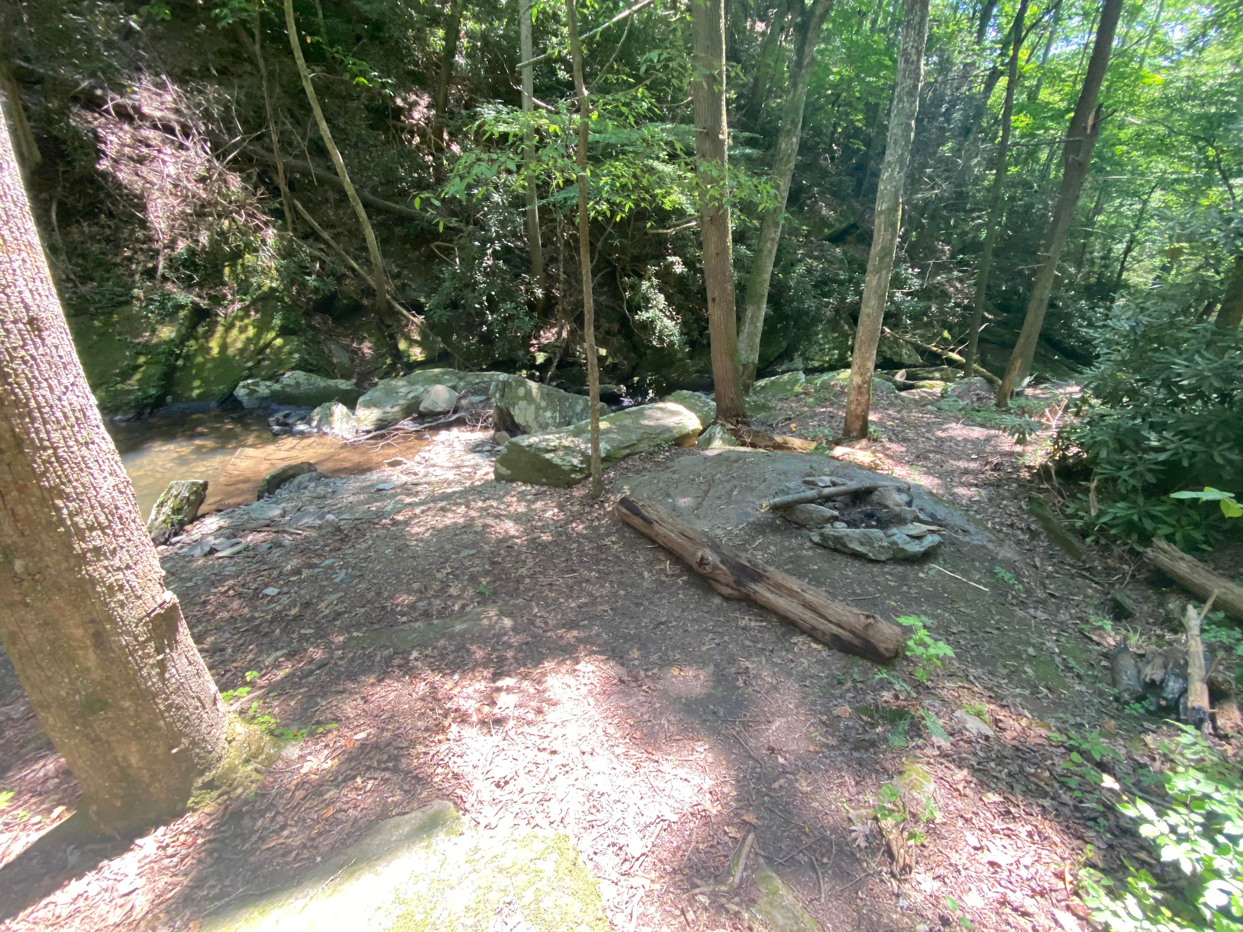 Camper-submitted photo at Goforth Creek Campground F near Reliance, TN