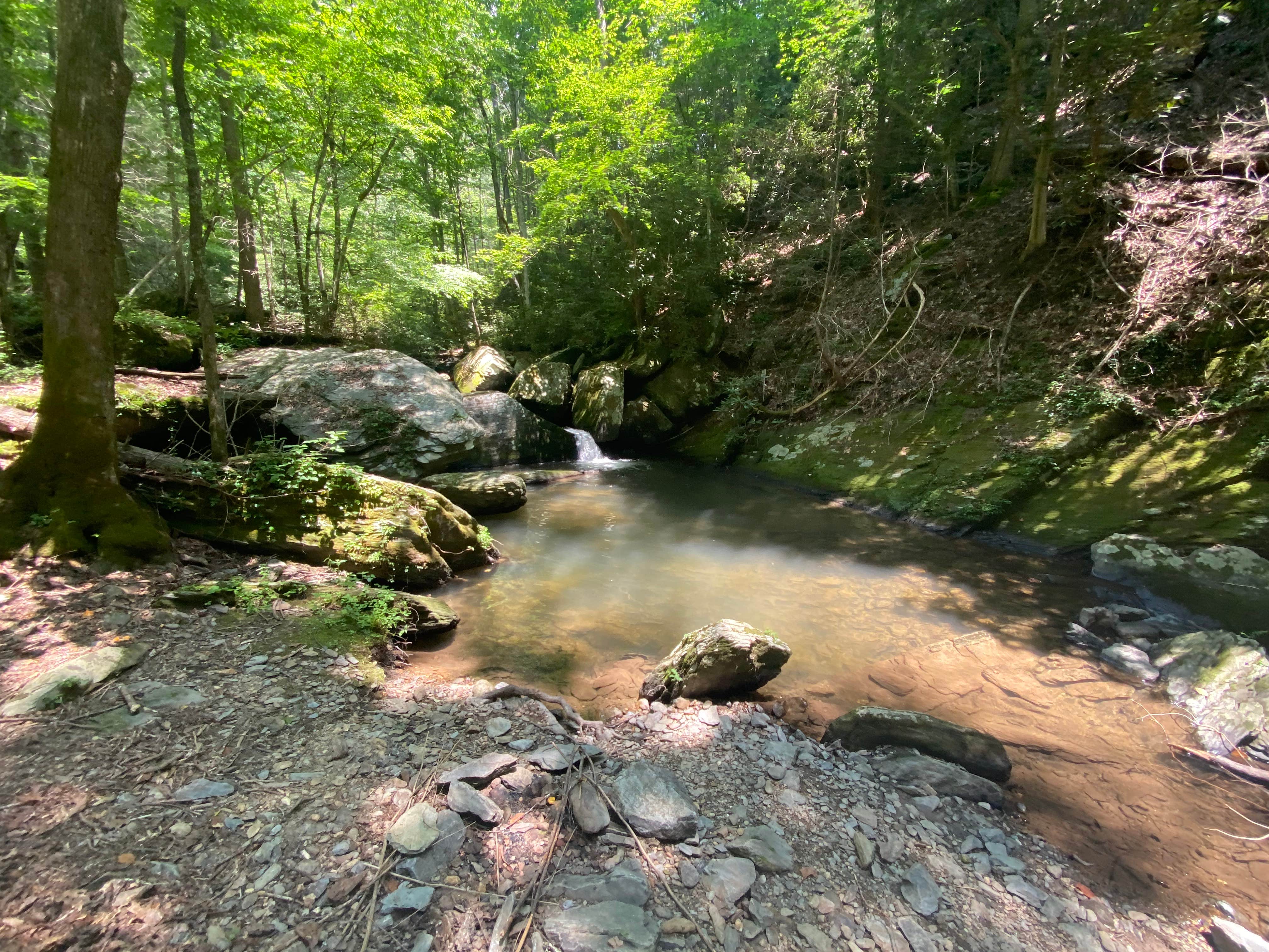 Camper submitted image from Goforth Creek Campground F - 3