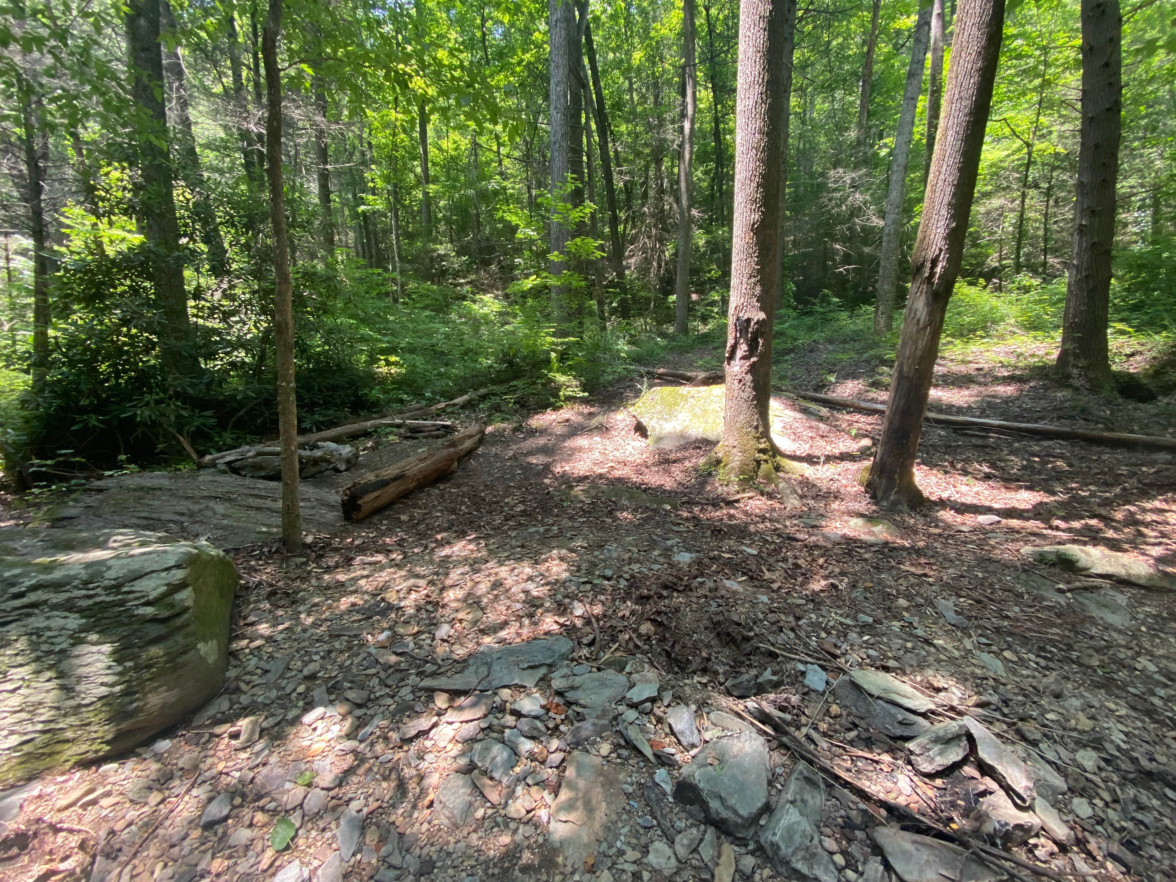 Camper-submitted photo at Goforth Creek Campground F near Reliance, TN