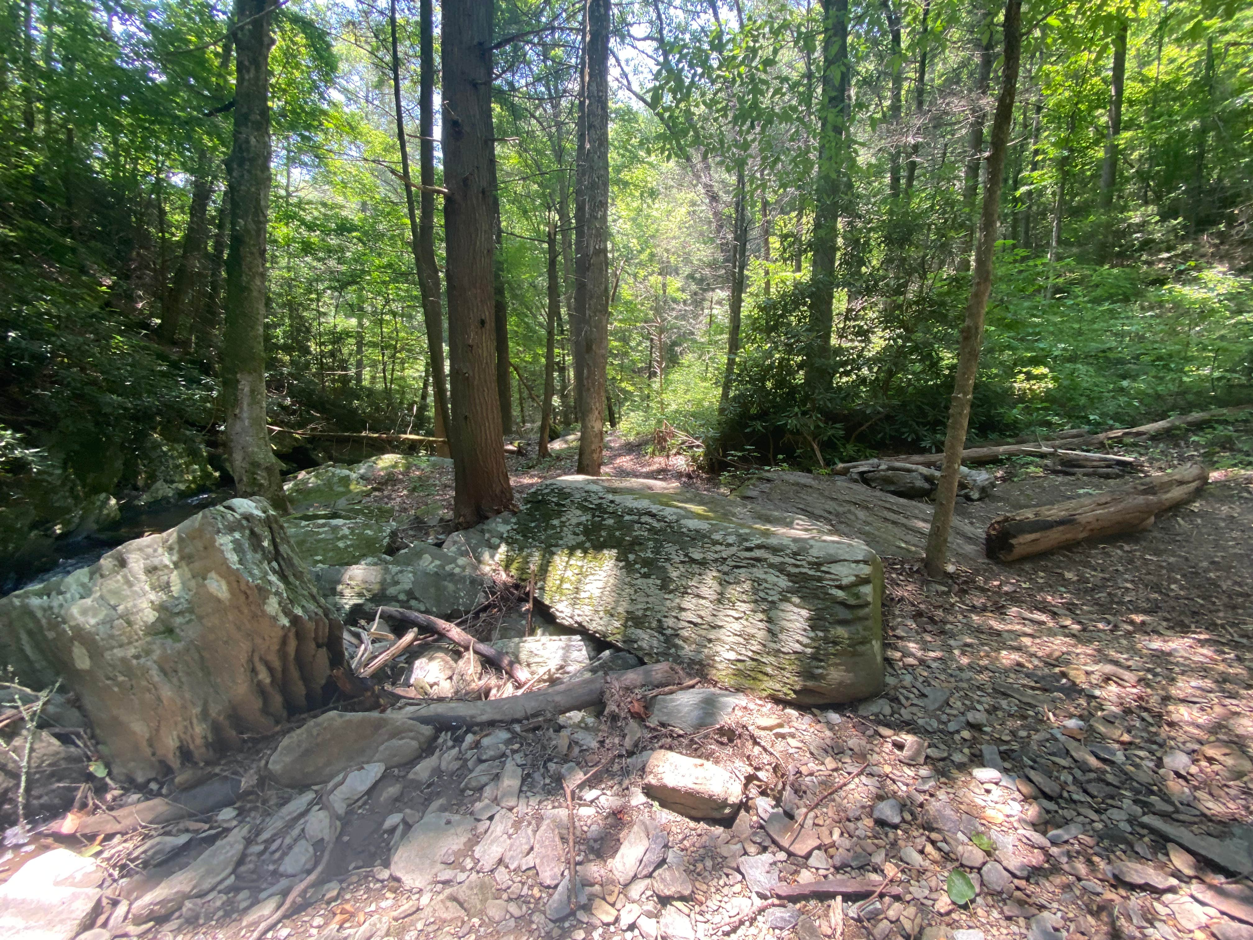 Camper-submitted photo at Goforth Creek Campground F near Reliance, TN