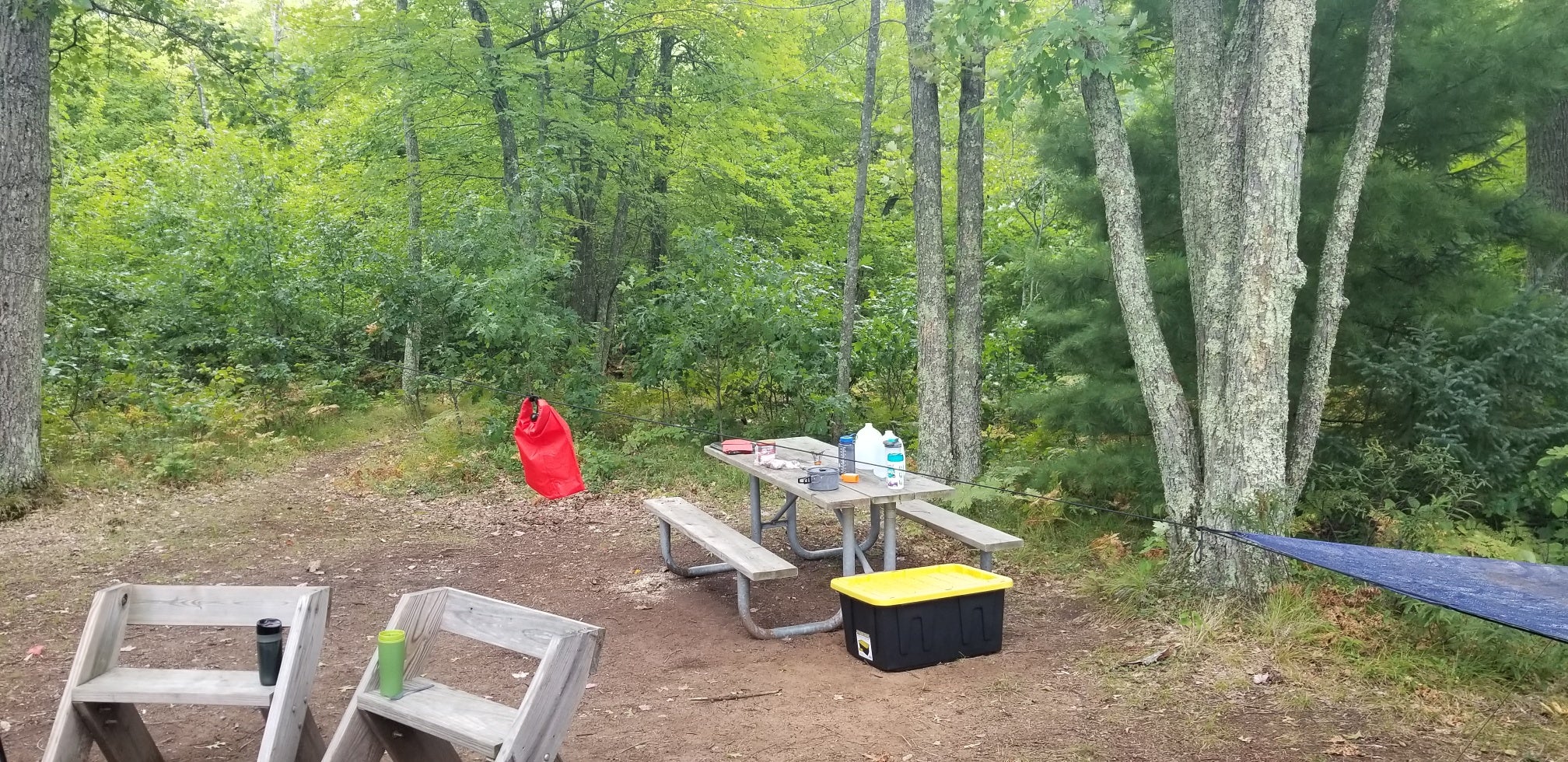 Camper submitted image from Old Veterans Lake Campground — Governor Earl Peshtigo River State Forest - 5