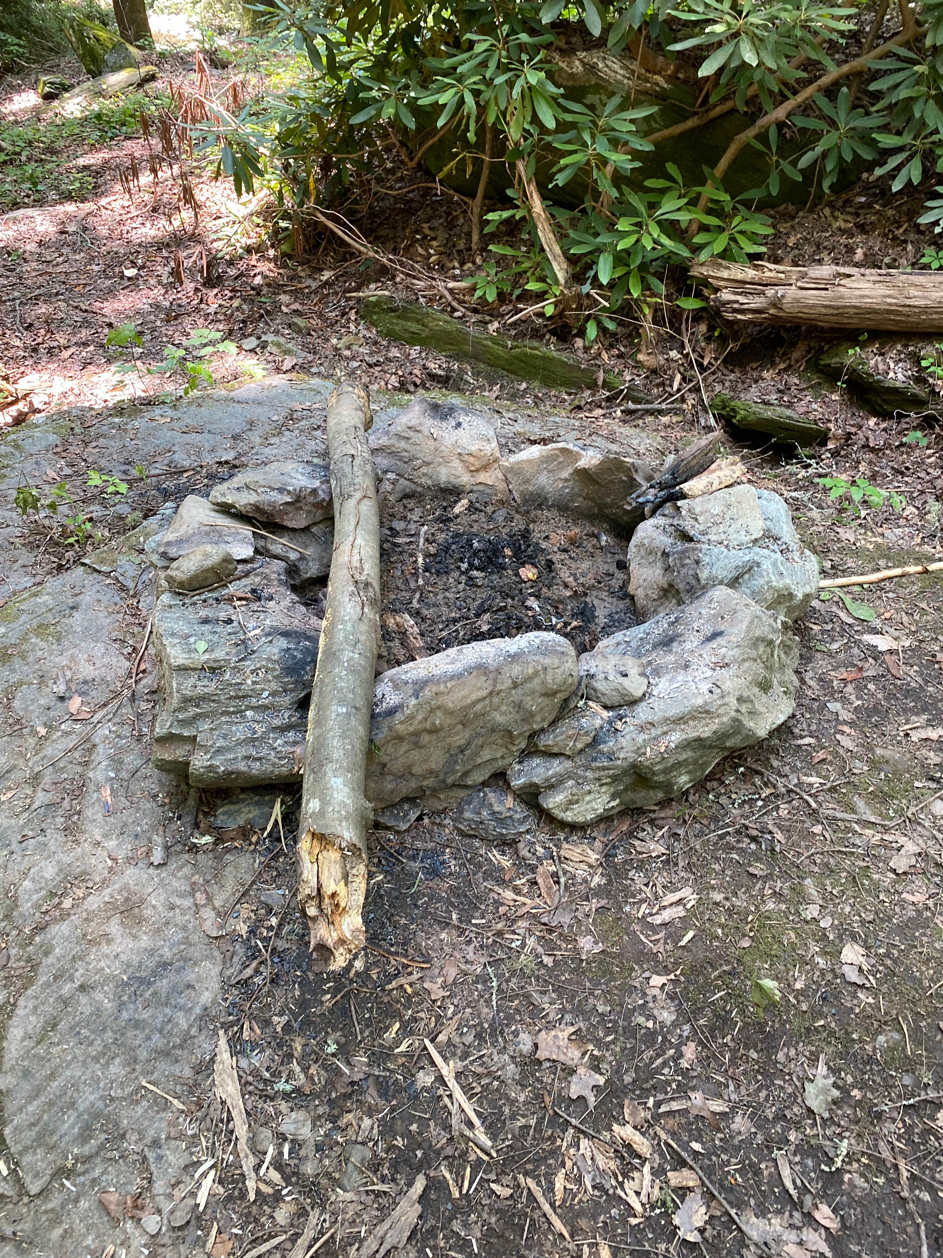 Camper-submitted photo at Goforth Creek Campground F near Reliance, TN