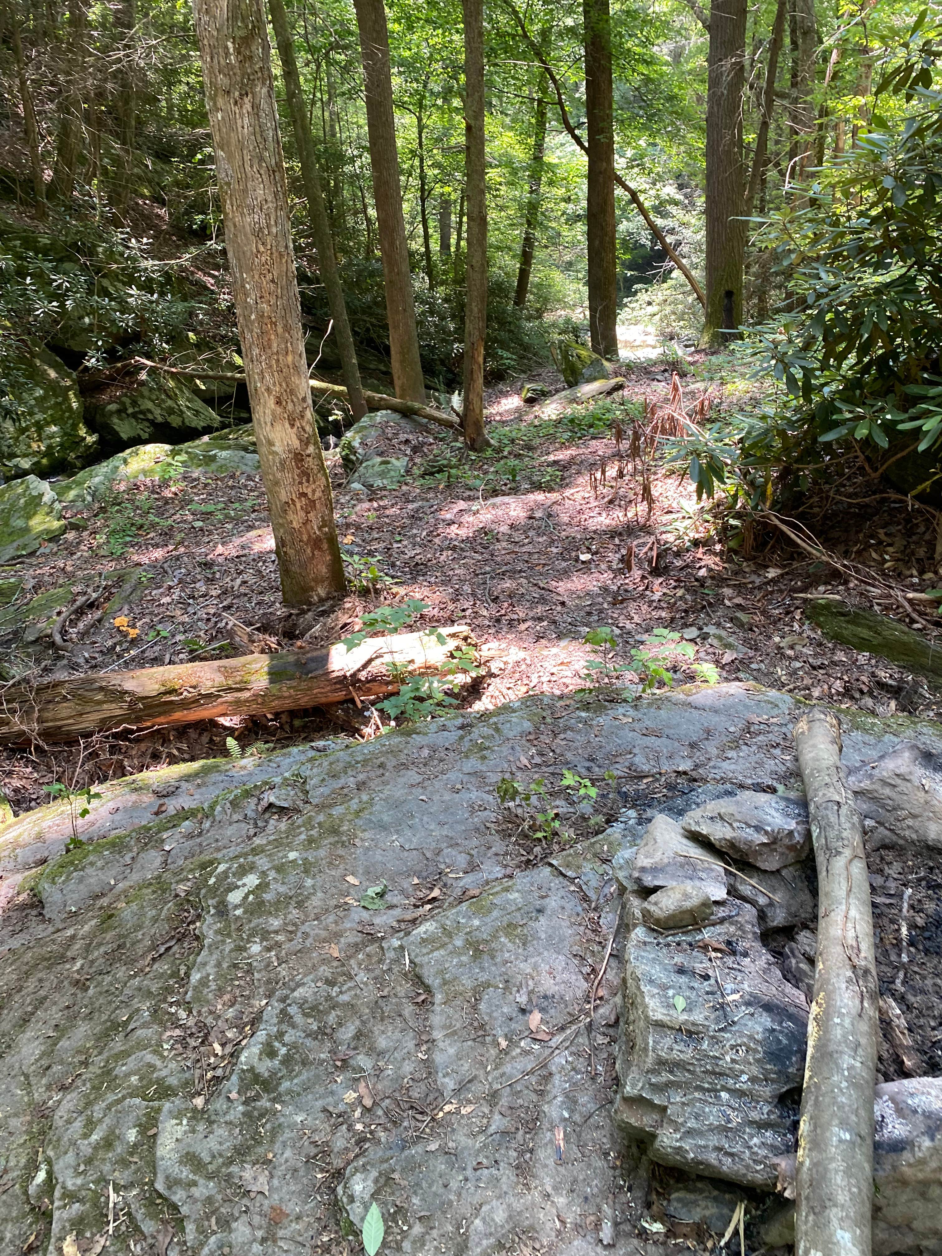 Camping near Parksville Lake RV Campground: Goforth Creek Campground F, Reliance, Tennessee