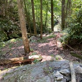 Review photo of Goforth Creek Campground F by Asher K., September 30, 2022