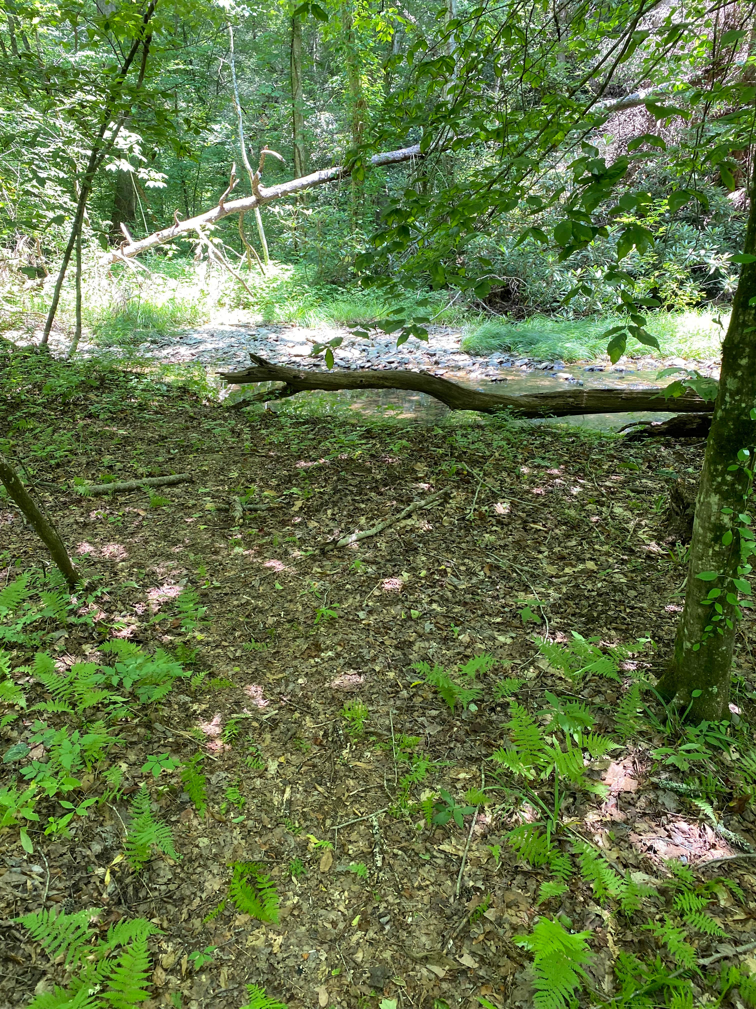 Camper-submitted photo at Goforth Creek Campground G near Delano, TN