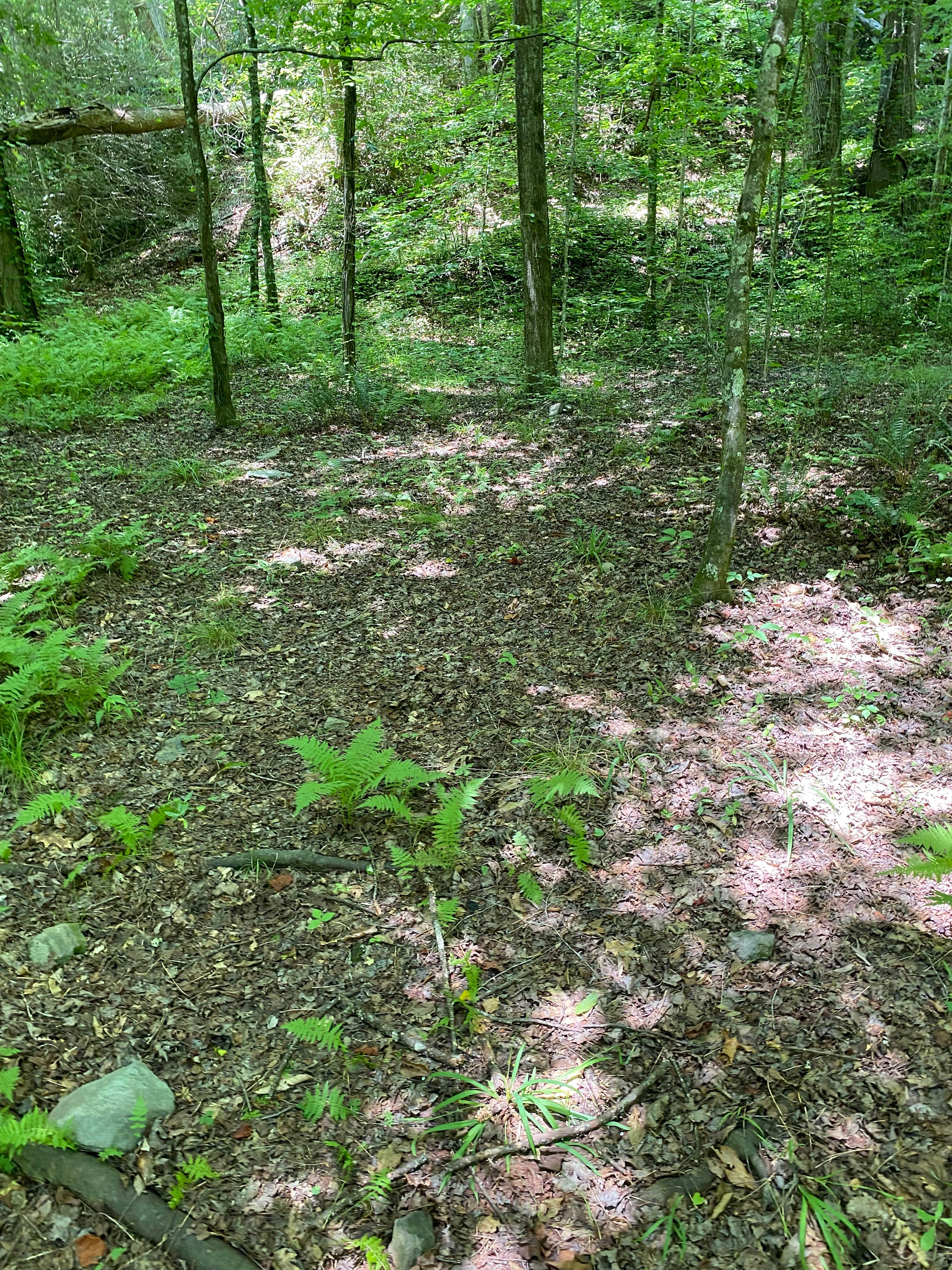 Camper-submitted photo at Goforth Creek Campground G near Delano, TN