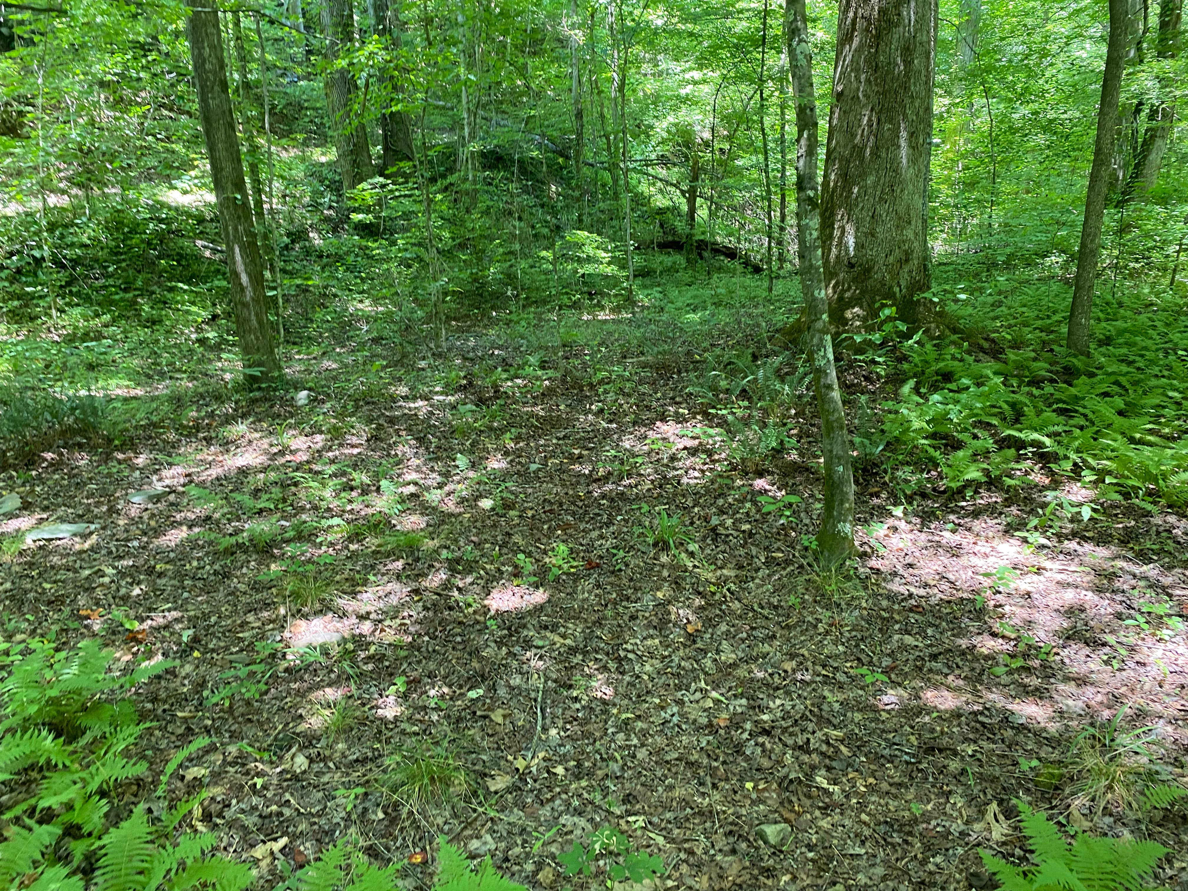 Camper-submitted photo at Goforth Creek Campground G near Delano, TN