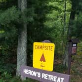 Review photo of Old Veterans Lake - Peshtigo River SF by Steven U., September 4, 2018