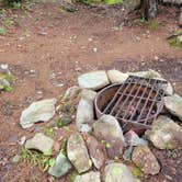 Review photo of Little Notch Pond Campsite by Nancy W., September 30, 2022