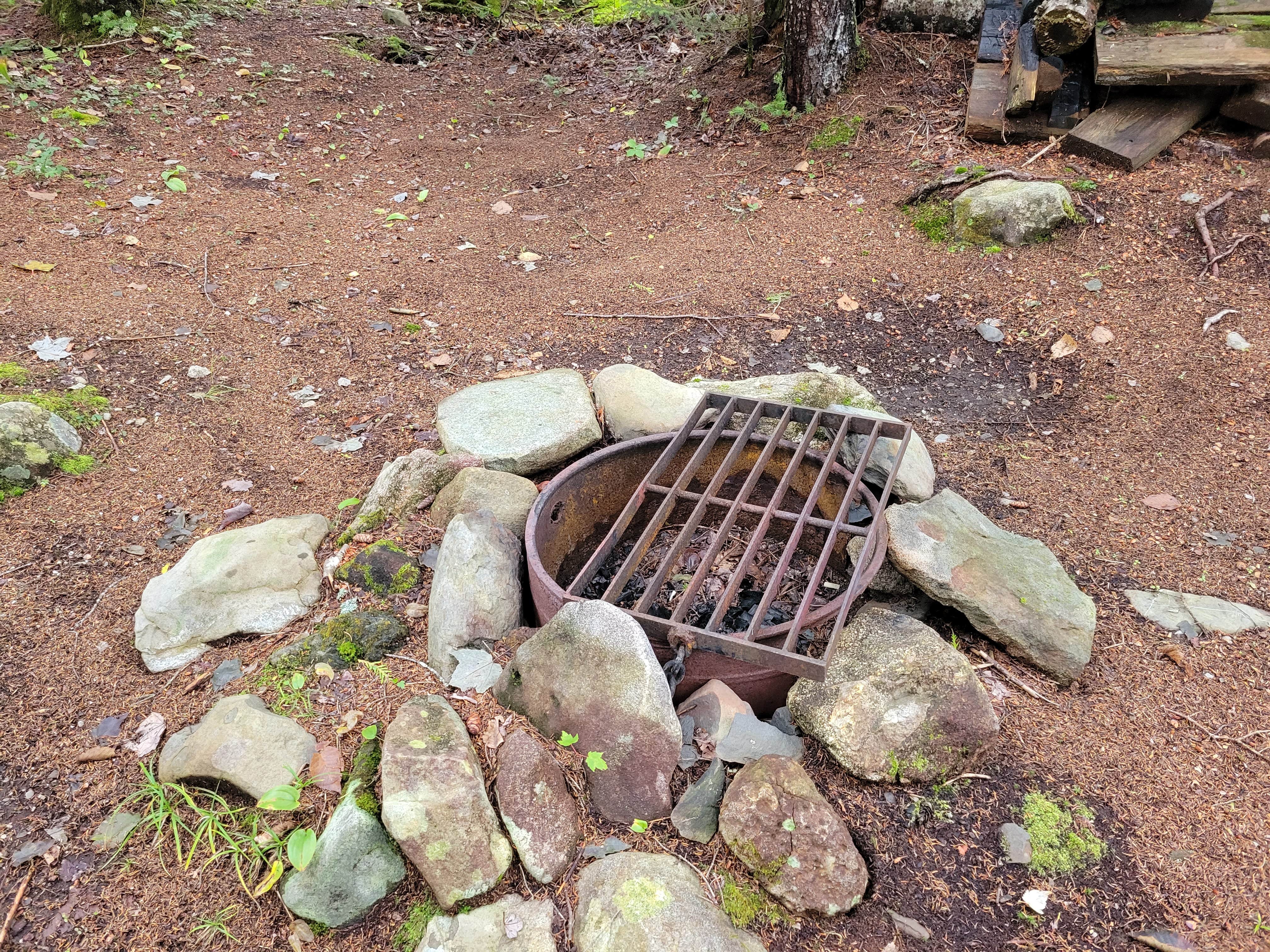 Camper submitted image from Little Notch Pond Campsite - 3