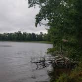 Review photo of Old Veterans Lake - Peshtigo River SF by Steven U., September 4, 2018