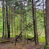 Review photo of Little Notch Pond Campsite by Nancy W., September 30, 2022