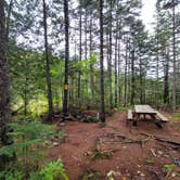 Review photo of Little Notch Pond Campsite by Nancy W., September 30, 2022