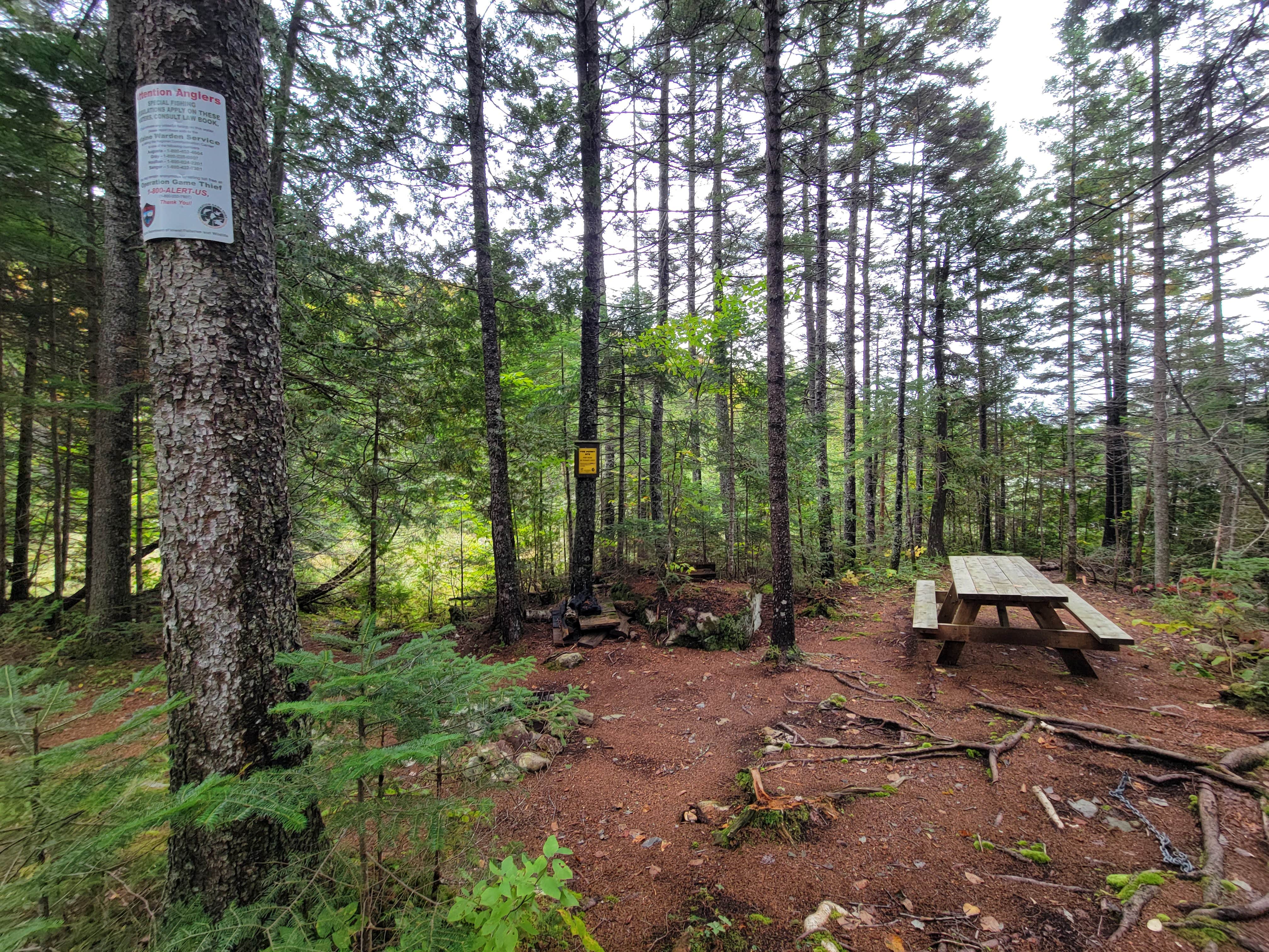 Camper submitted image from Little Notch Pond Campsite - 5