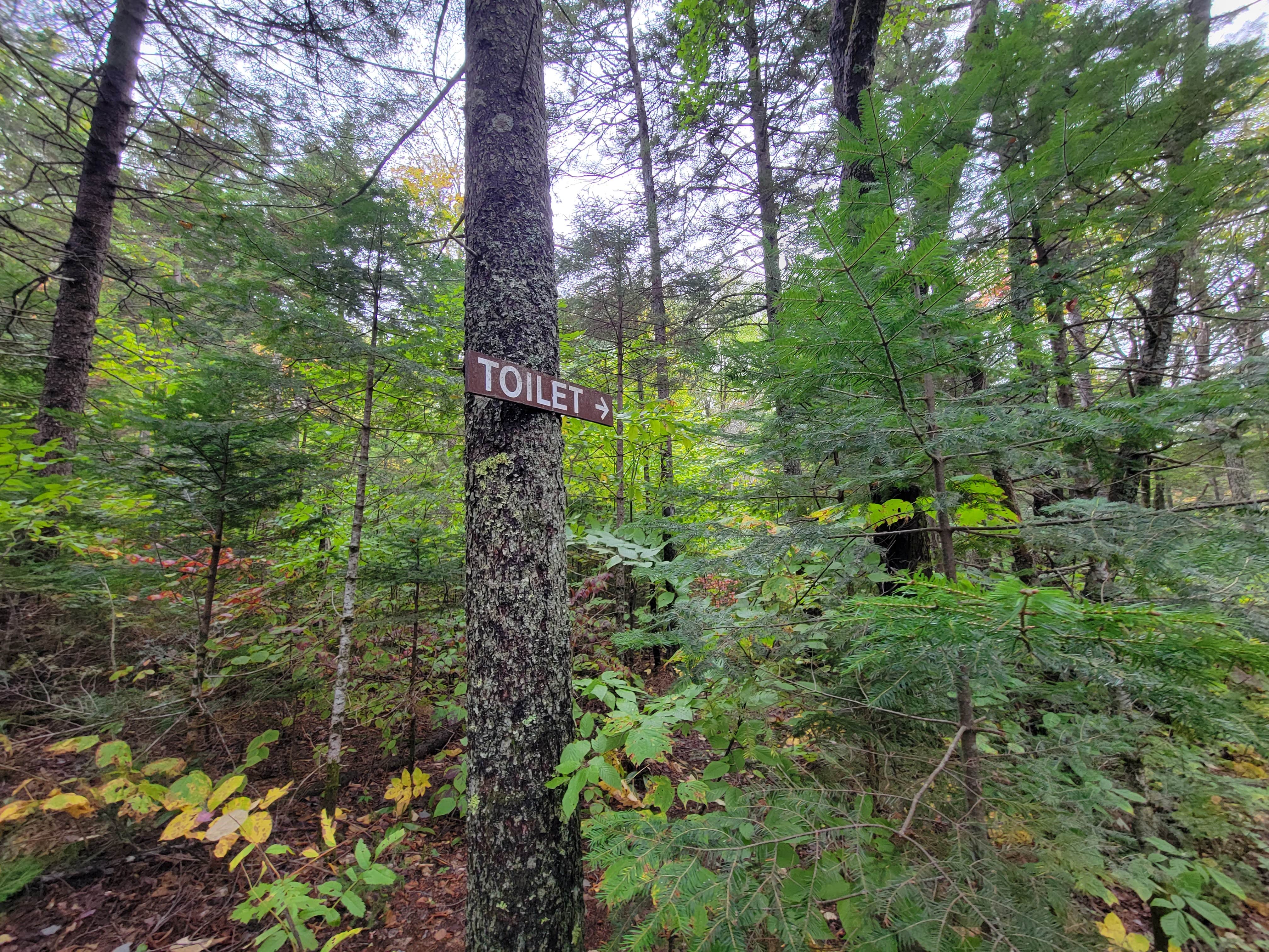 Camper-submitted photo at Little Notch Pond Campsite near Jackman, ME