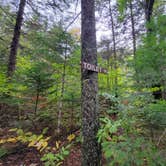 Review photo of Little Notch Pond Campsite by Nancy W., September 30, 2022