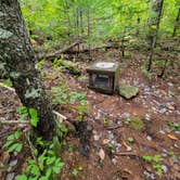 Review photo of Little Notch Pond Campsite by Nancy W., September 30, 2022