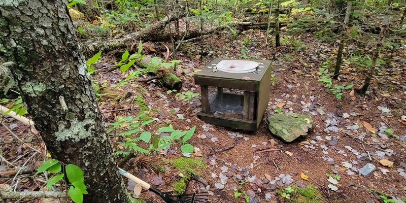 Camper submitted image from Little Notch Pond Campsite