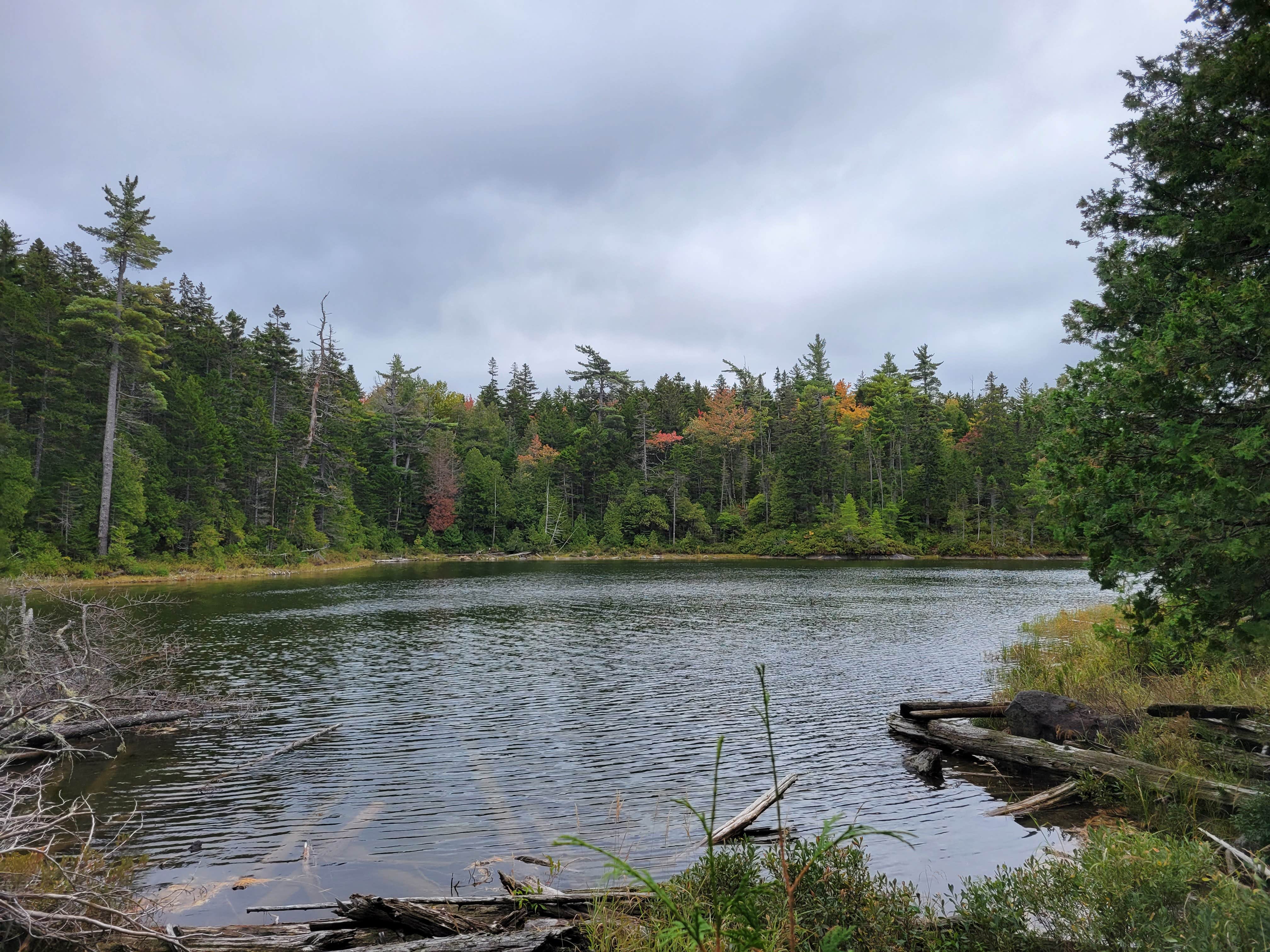 Camper-submitted photo at Little Notch Pond Campsite near Jackman, ME