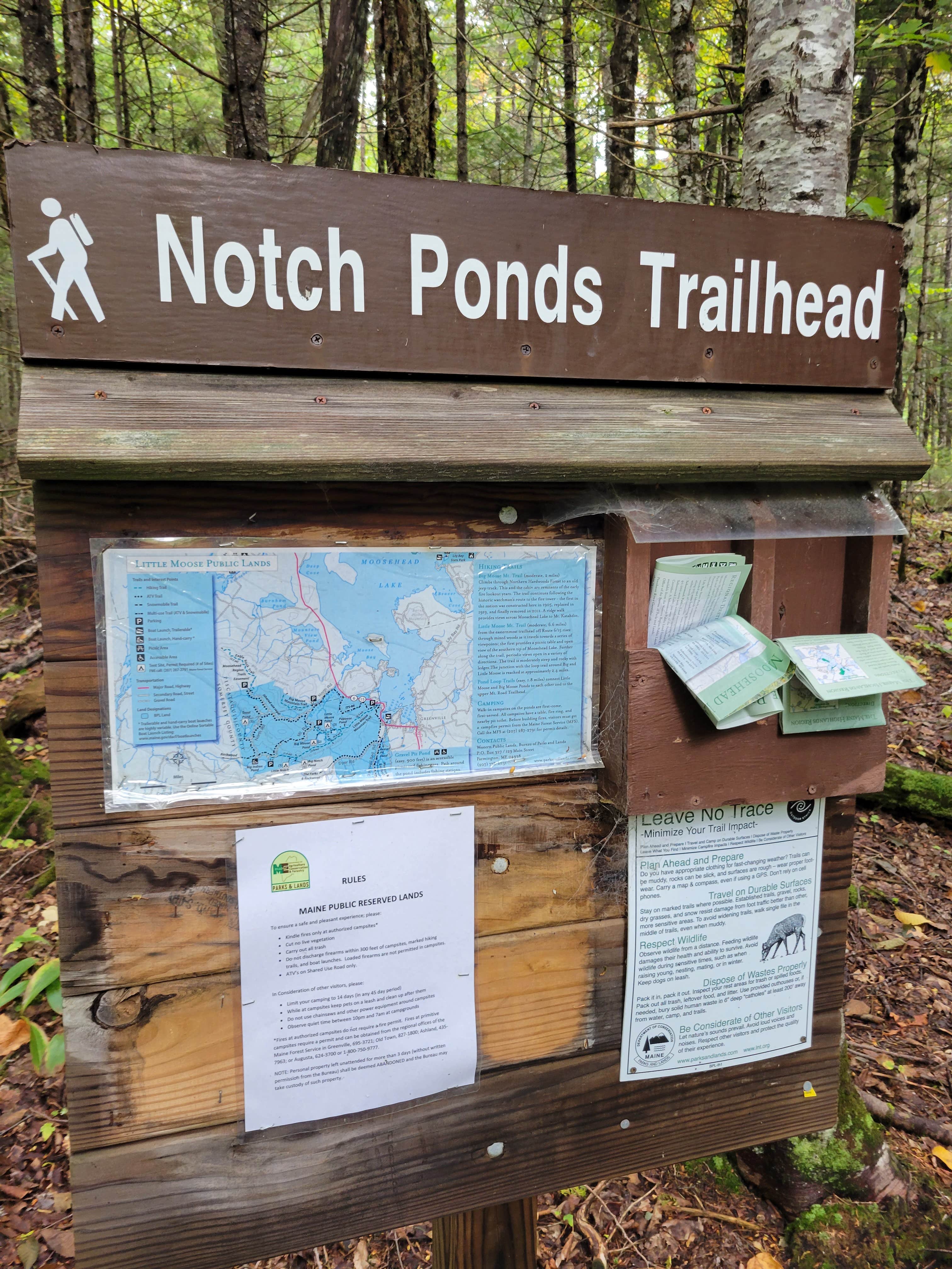 Camper-submitted photo at Little Notch Pond Campsite near Jackman, ME