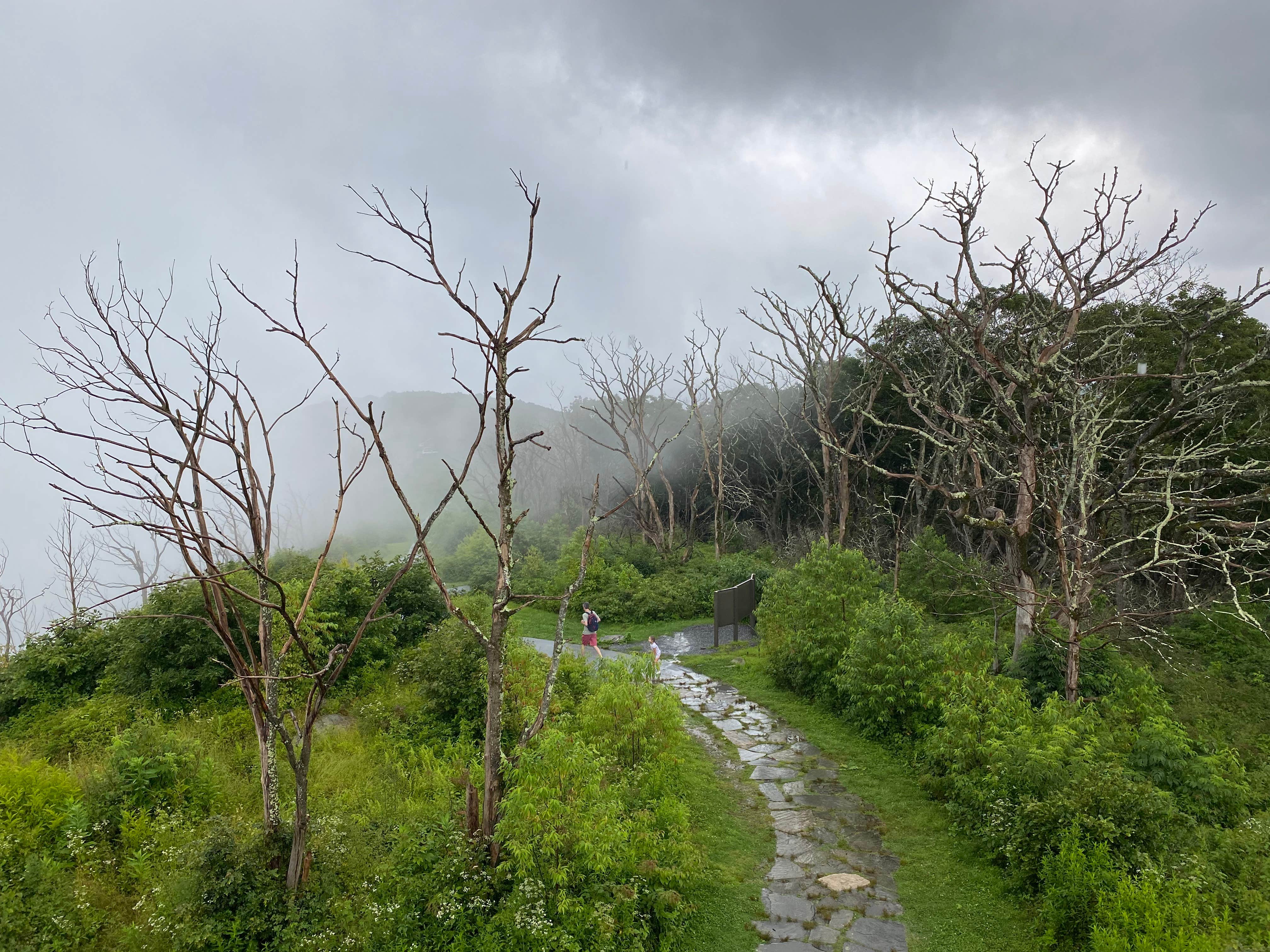 Camper-submitted photo at Wayah Bald Campground near Otto, NC