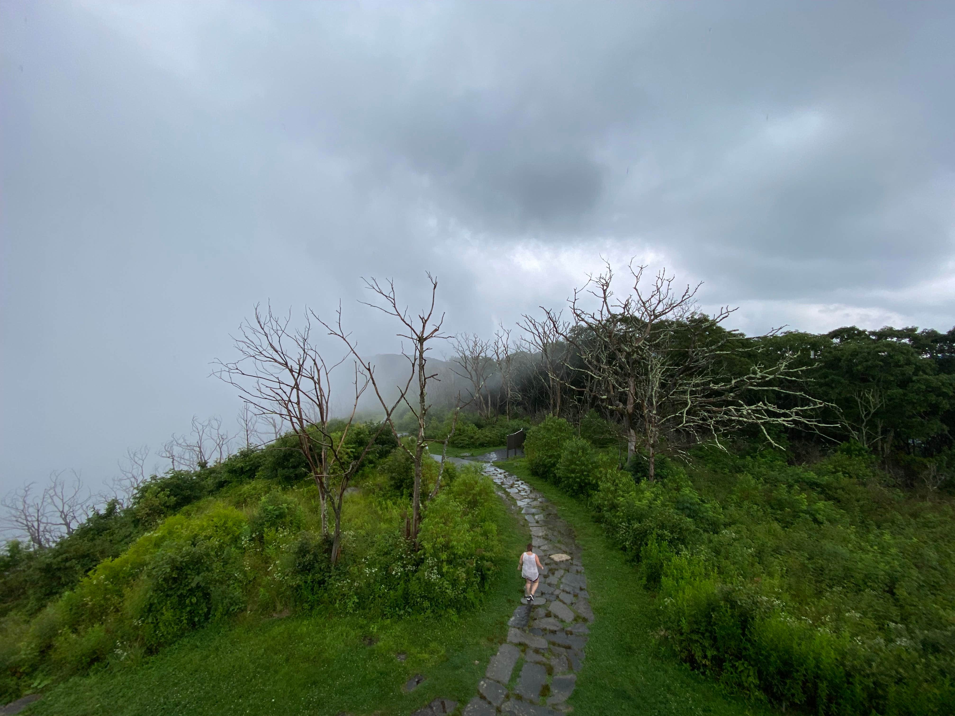Camper-submitted photo at Wayah Bald Campground near Otto, NC