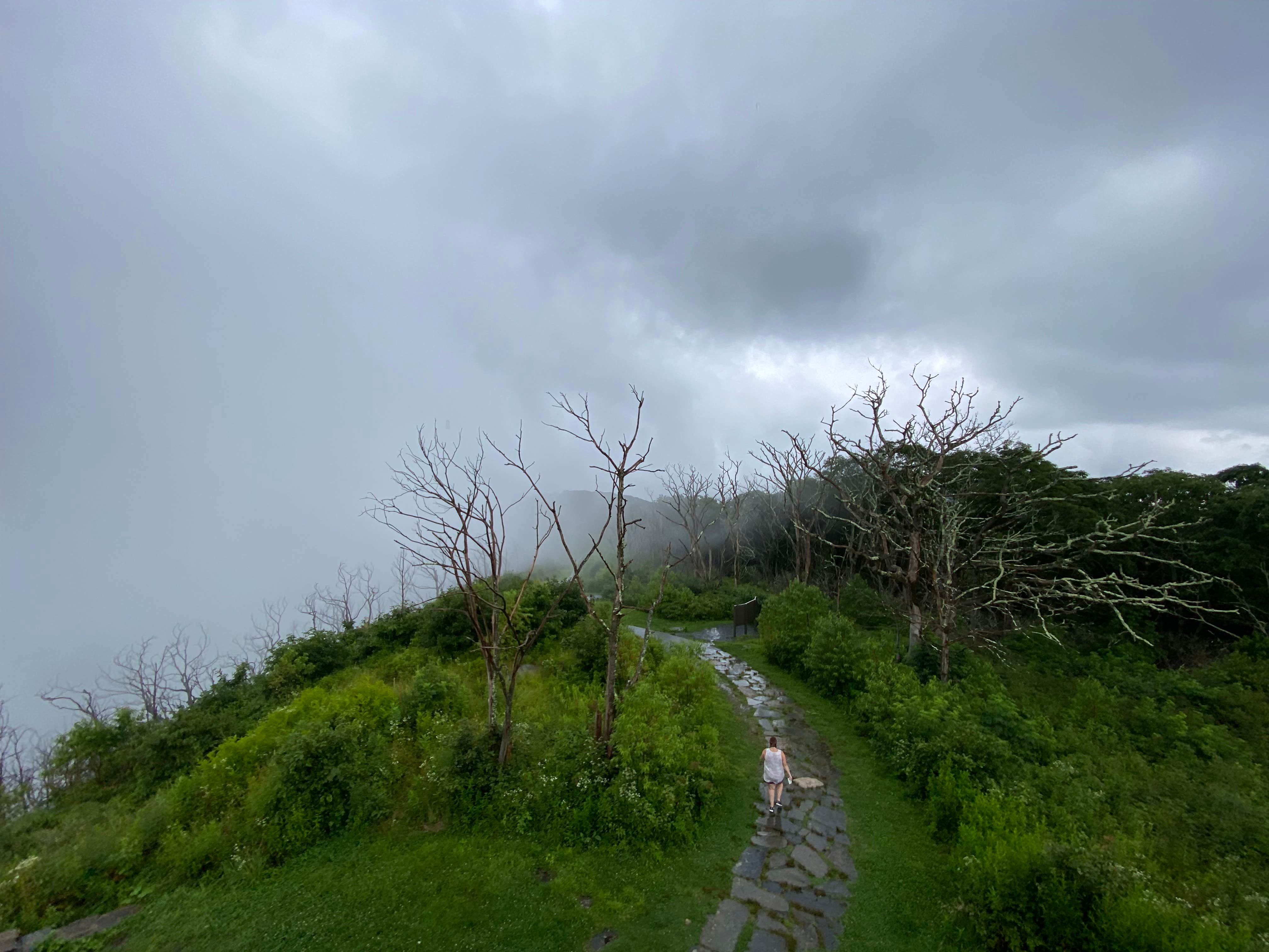 Camper-submitted photo at Wayah Bald Campground near Otto, NC