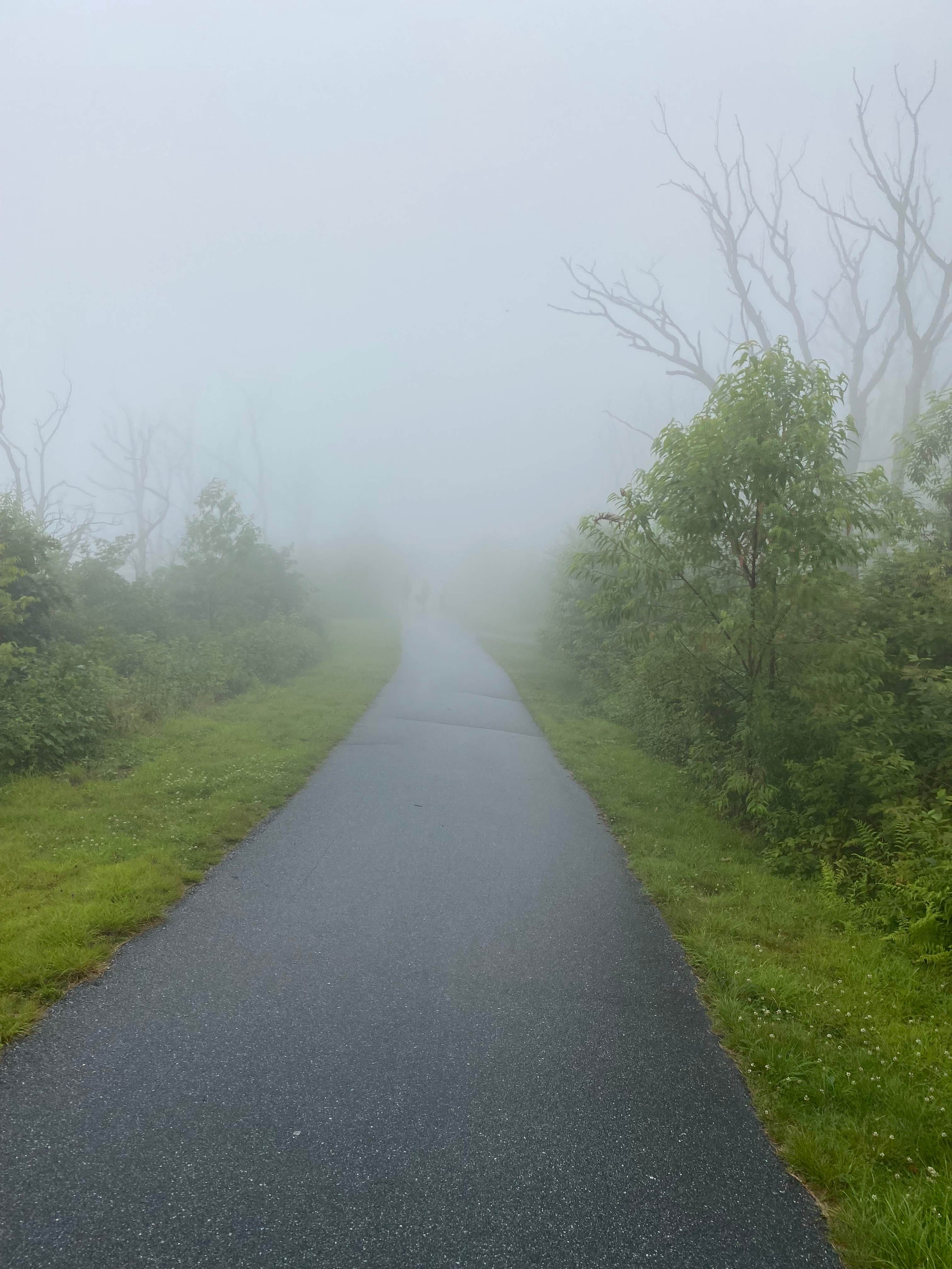Wayah Bald Campground
