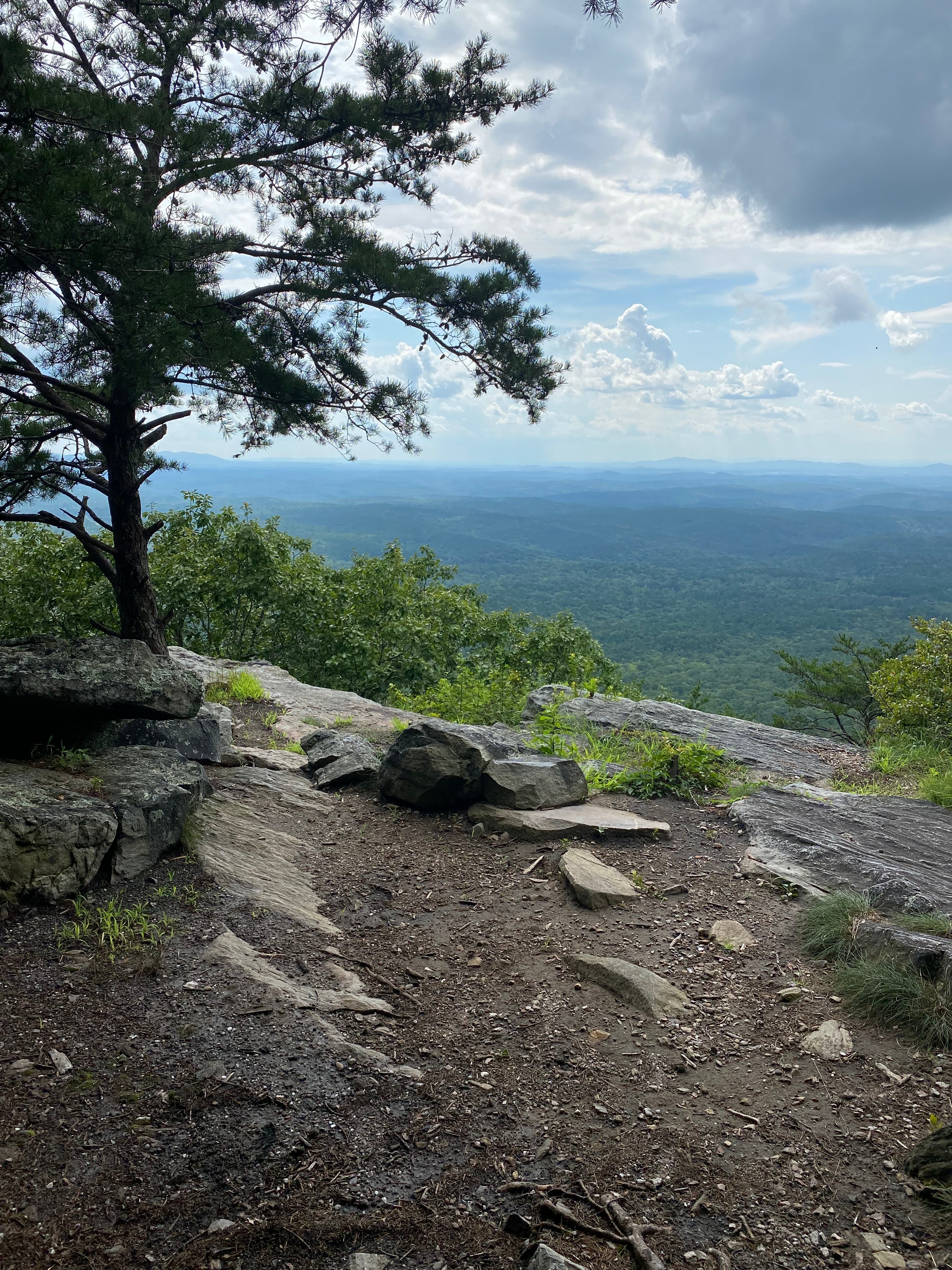 Camper submitted image from McDill Point Backcountry — Cheaha State Park - 4