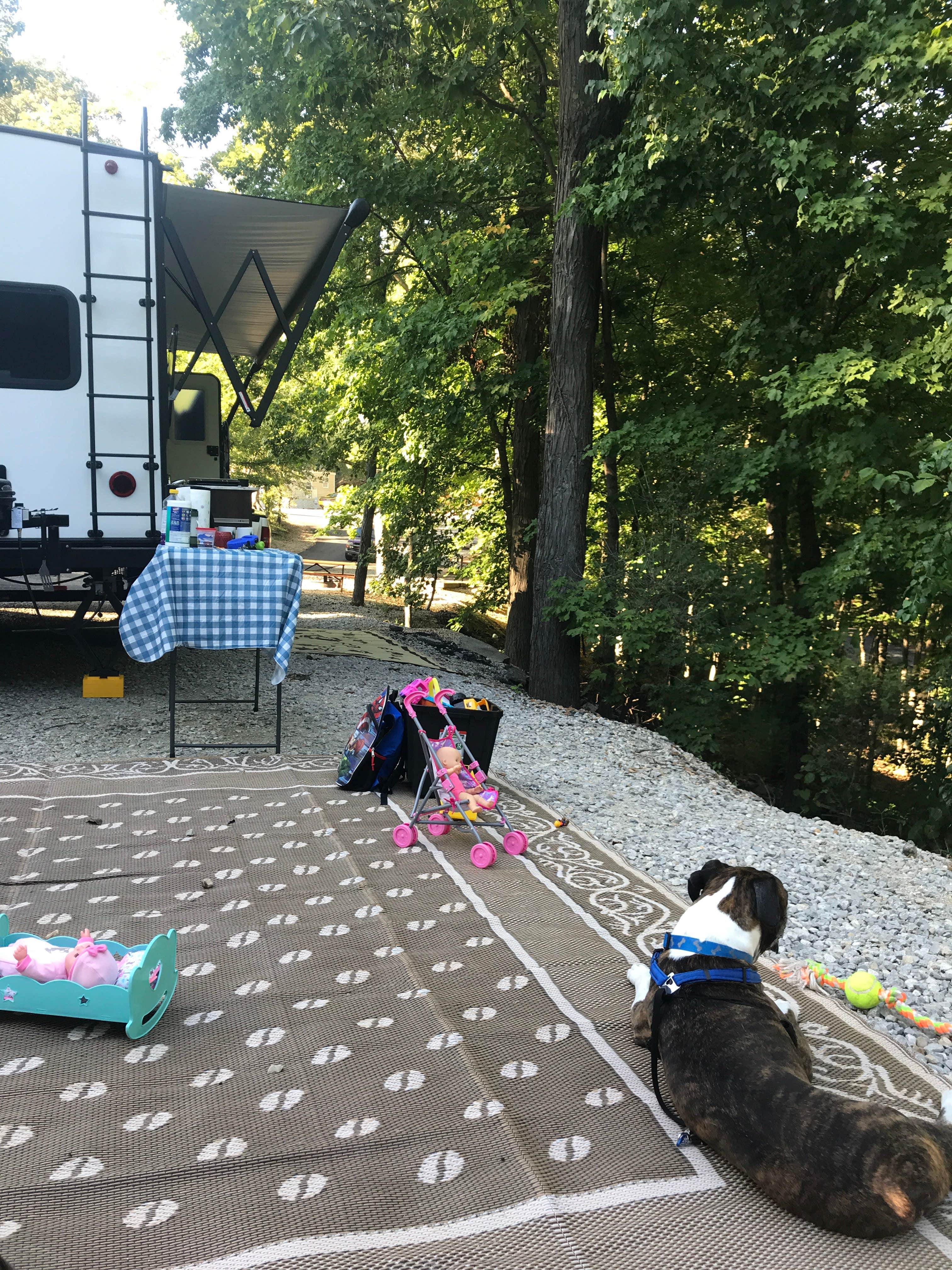 Camper-submitted photo at Yogi Bear's Jellystone Park Resort At Six Flags near Arnold, MO