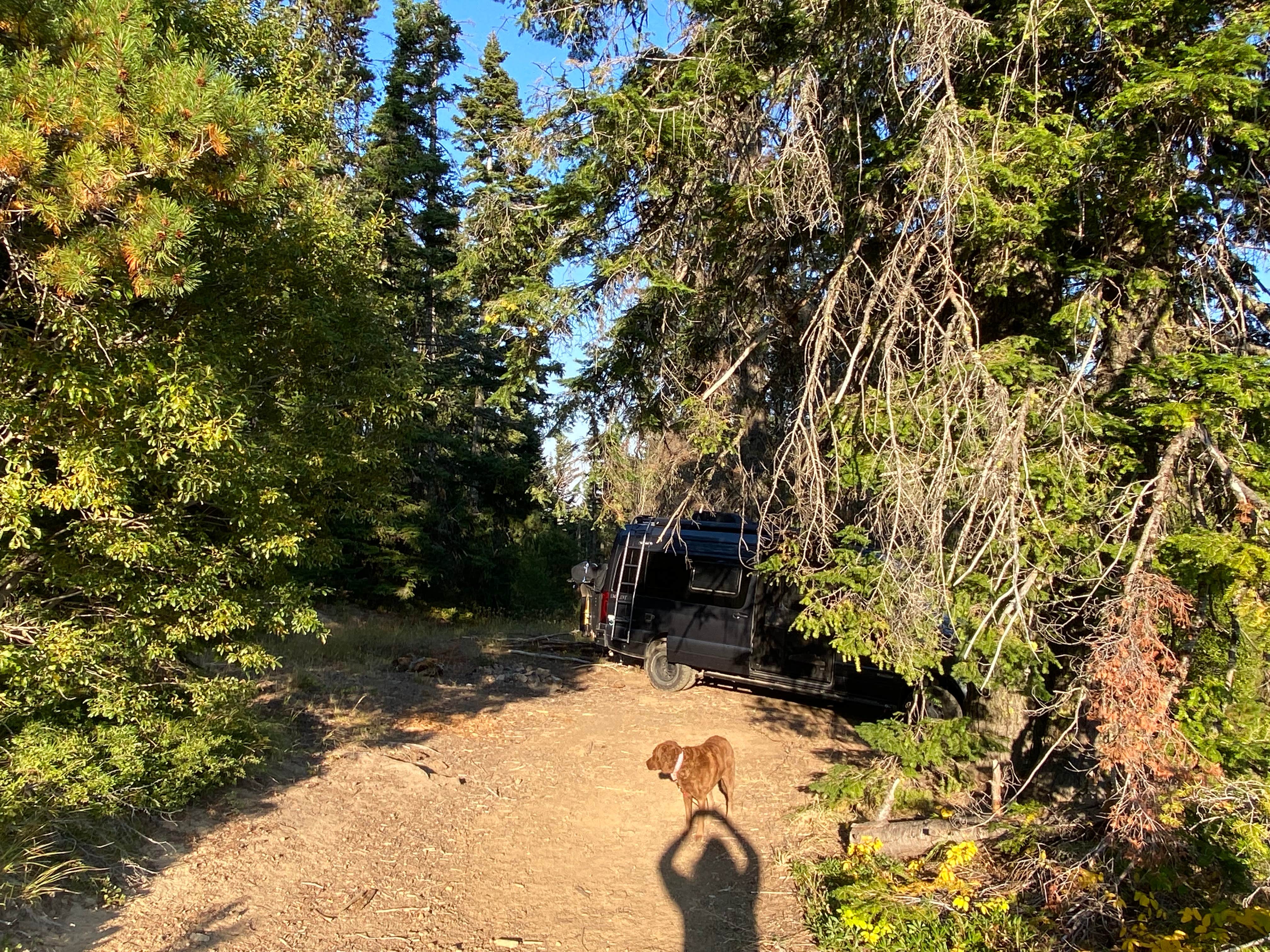 Camper-submitted photo at Old Bluett Pass Road Dispersed near Ellensburg, WA