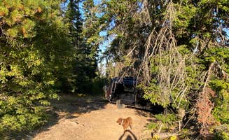 Cheryl M.'s photo of camping with pets at Old Bluett Pass Road Dispersed near Wenatchee, WA