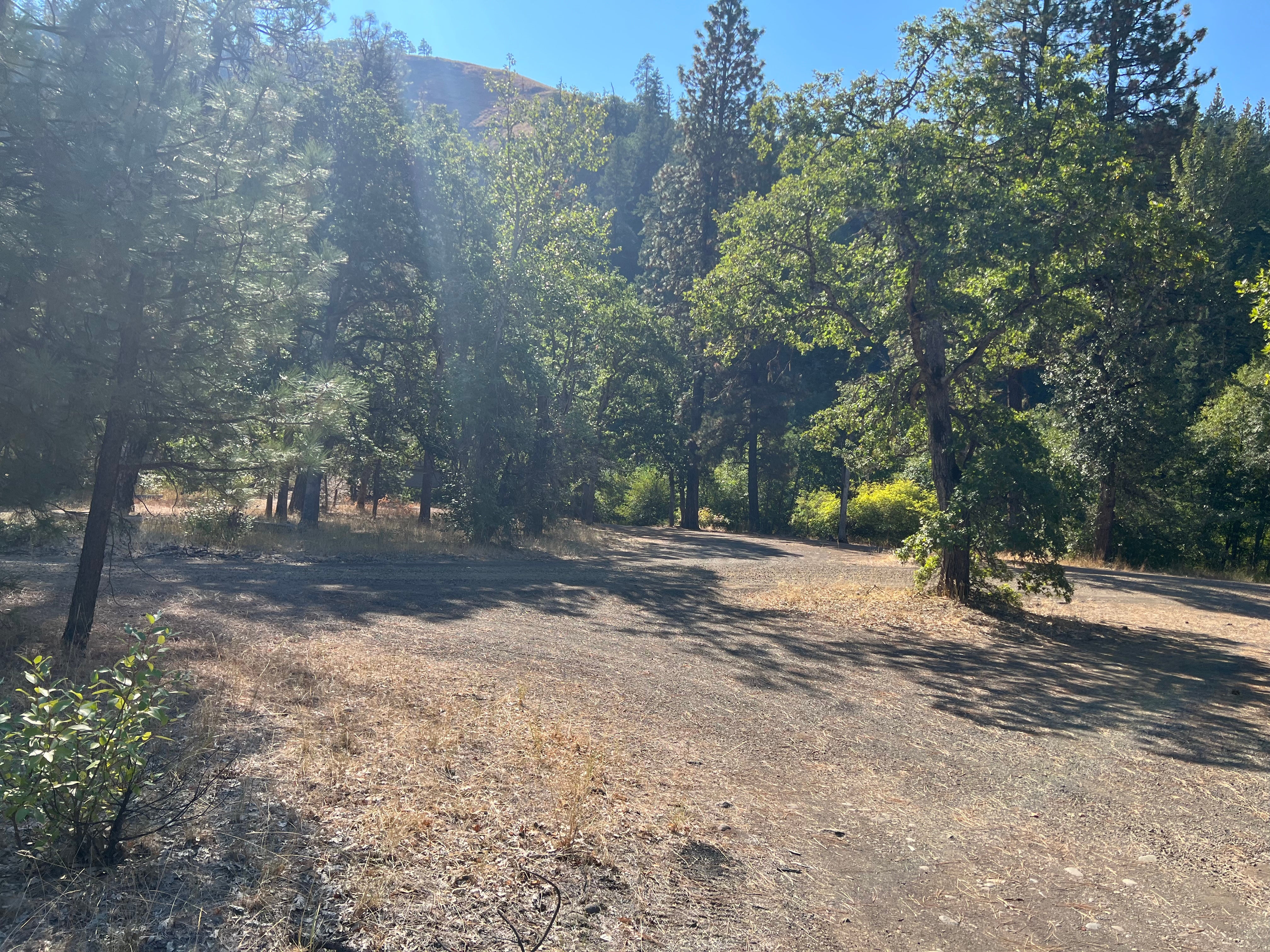 Camper submitted image from Stinson Flats - 2