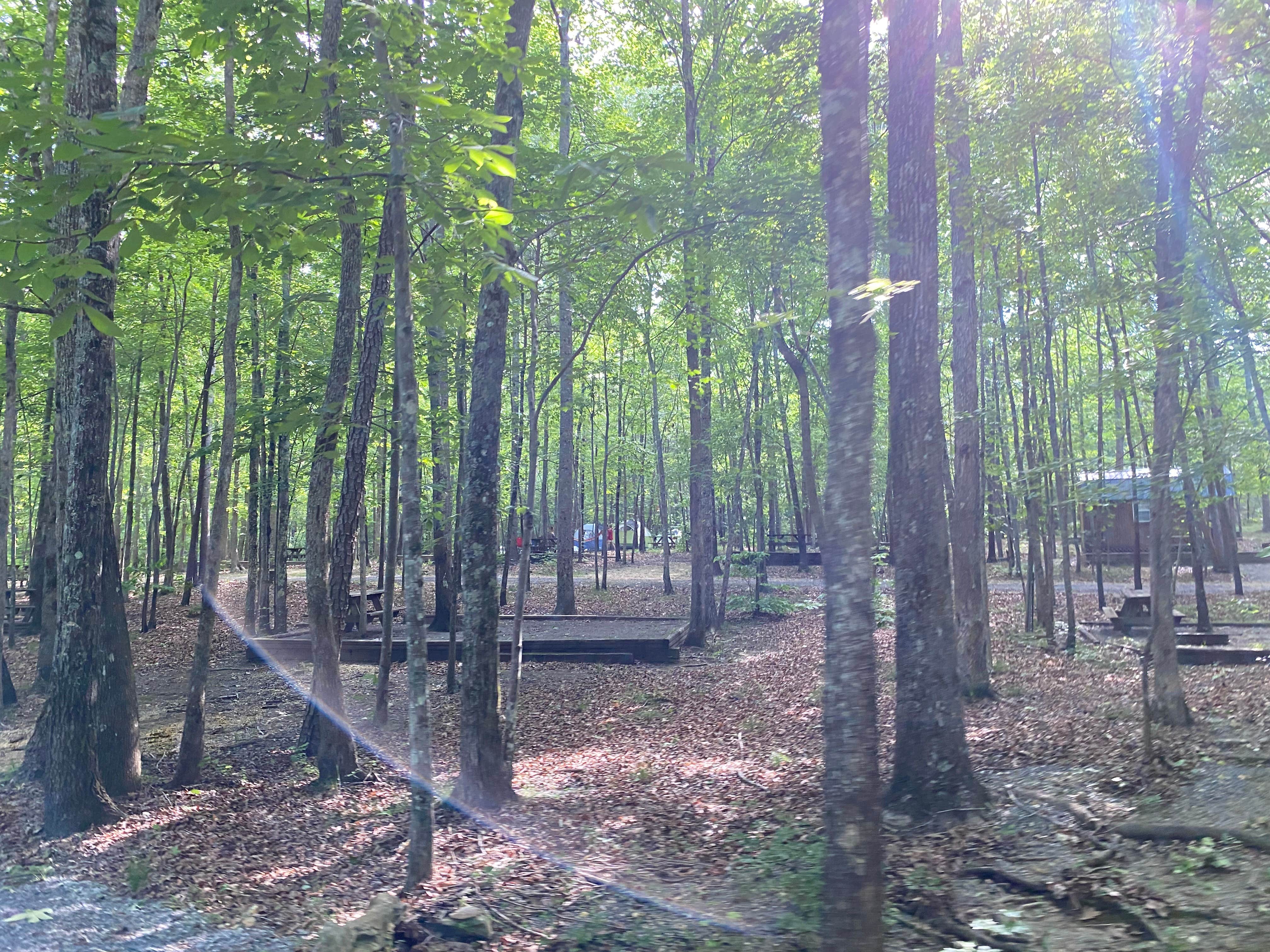 Camper-submitted photo at Tranquility Campground near Fort Payne, AL