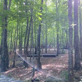 Review photo of Tranquility Campground by Asher K., October 1, 2022