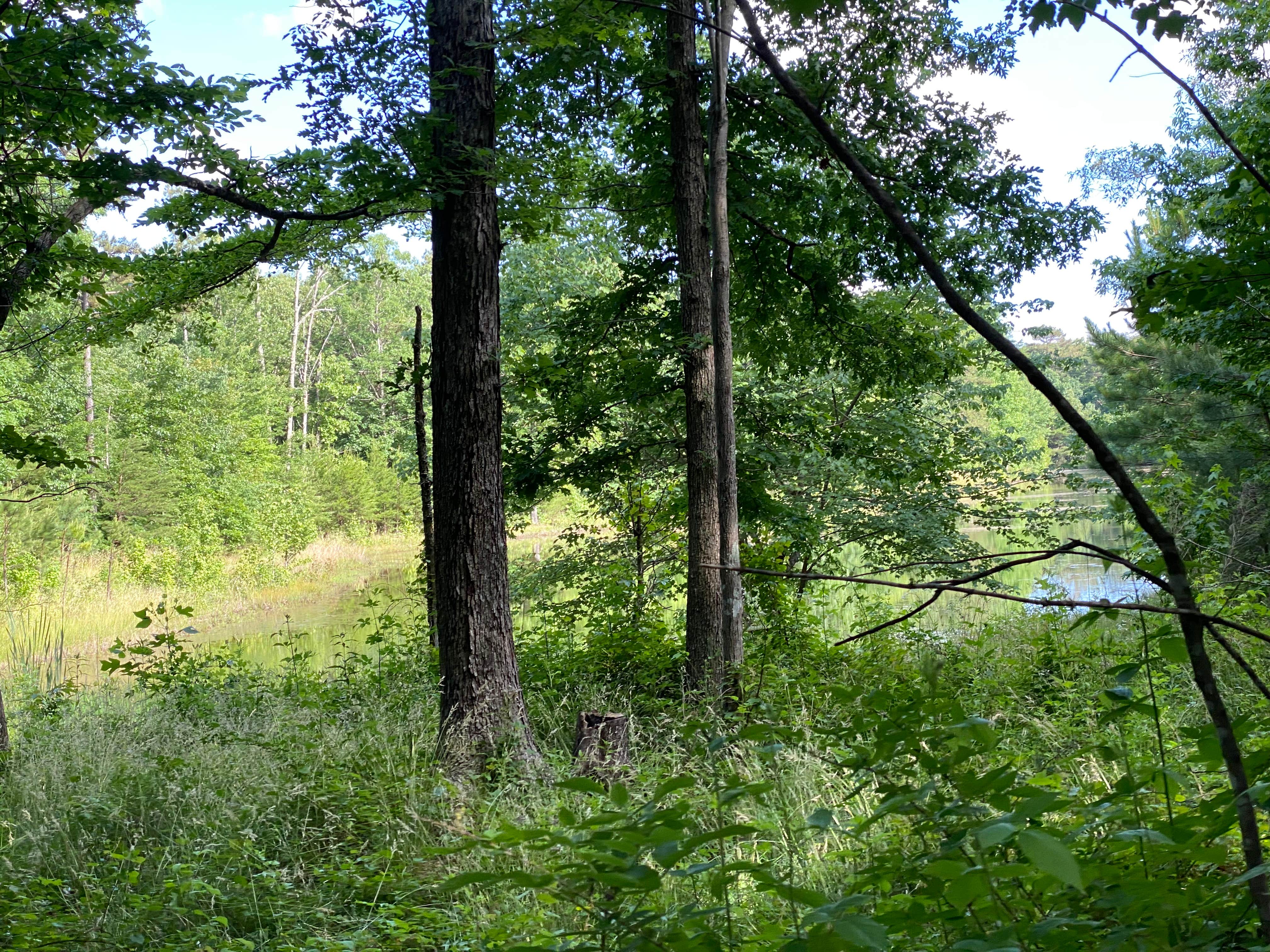 Camper-submitted photo at Tranquility Campground near Fort Payne, AL