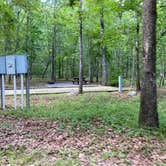 Review photo of Tranquility Campground by Asher K., October 1, 2022