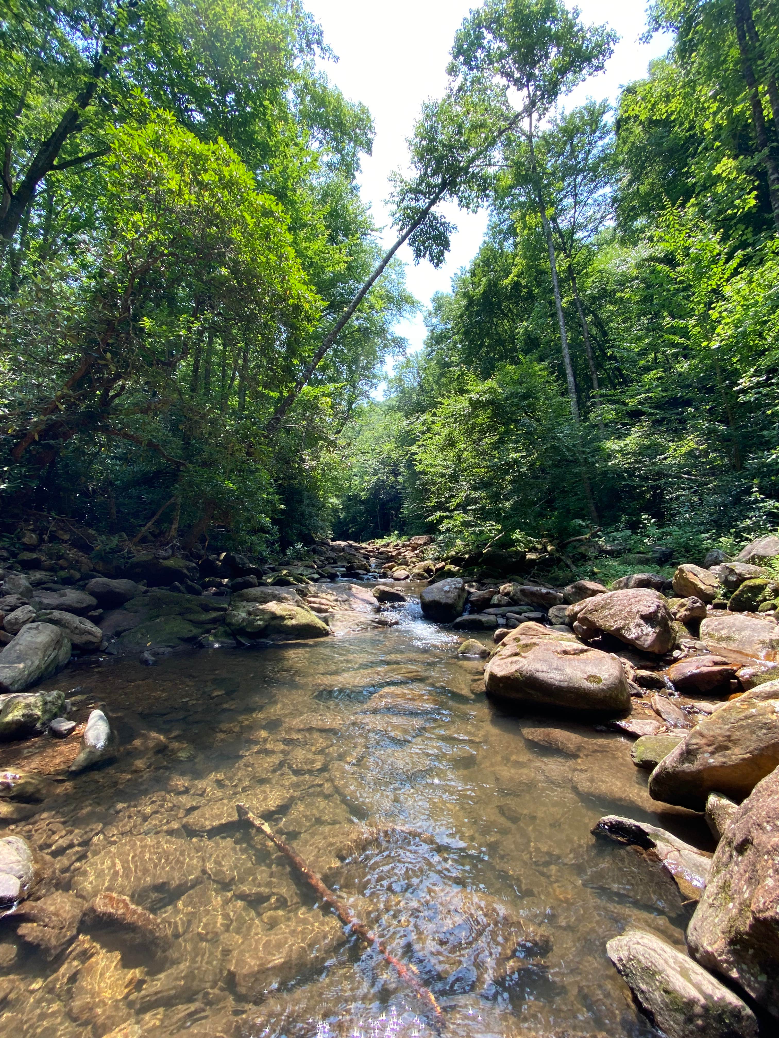 Camper-submitted photo at Ralph J. Andrews Campground near Otto, NC