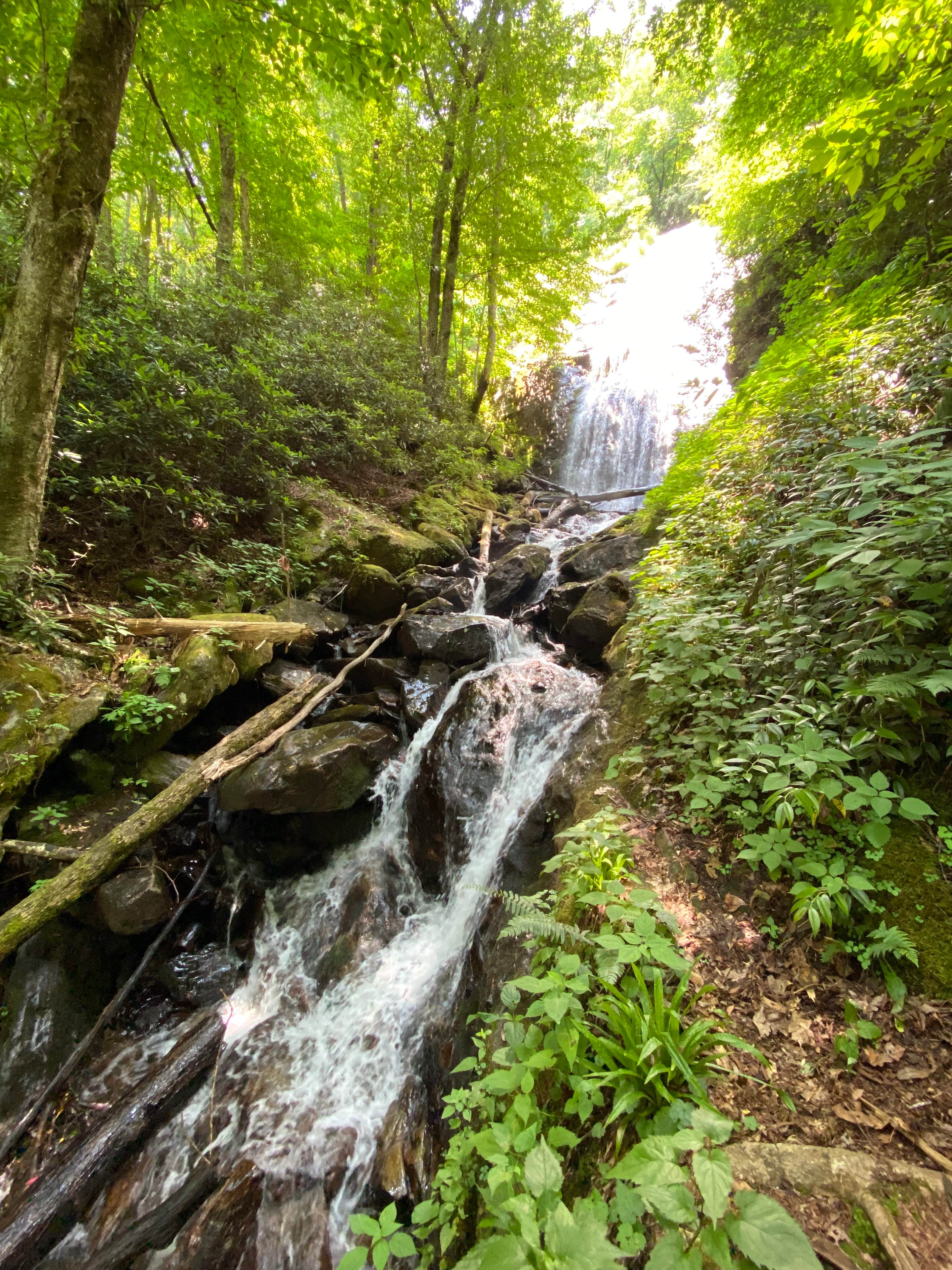 Camper-submitted photo at Ralph J. Andrews Campground near Otto, NC